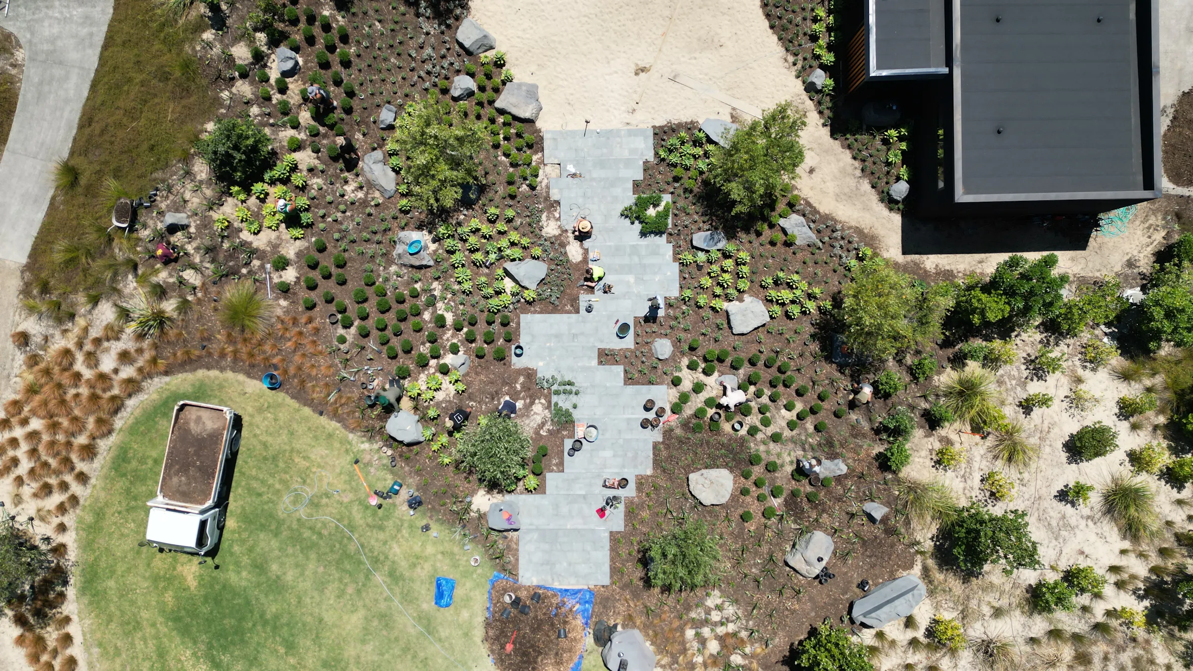 DJI 0263