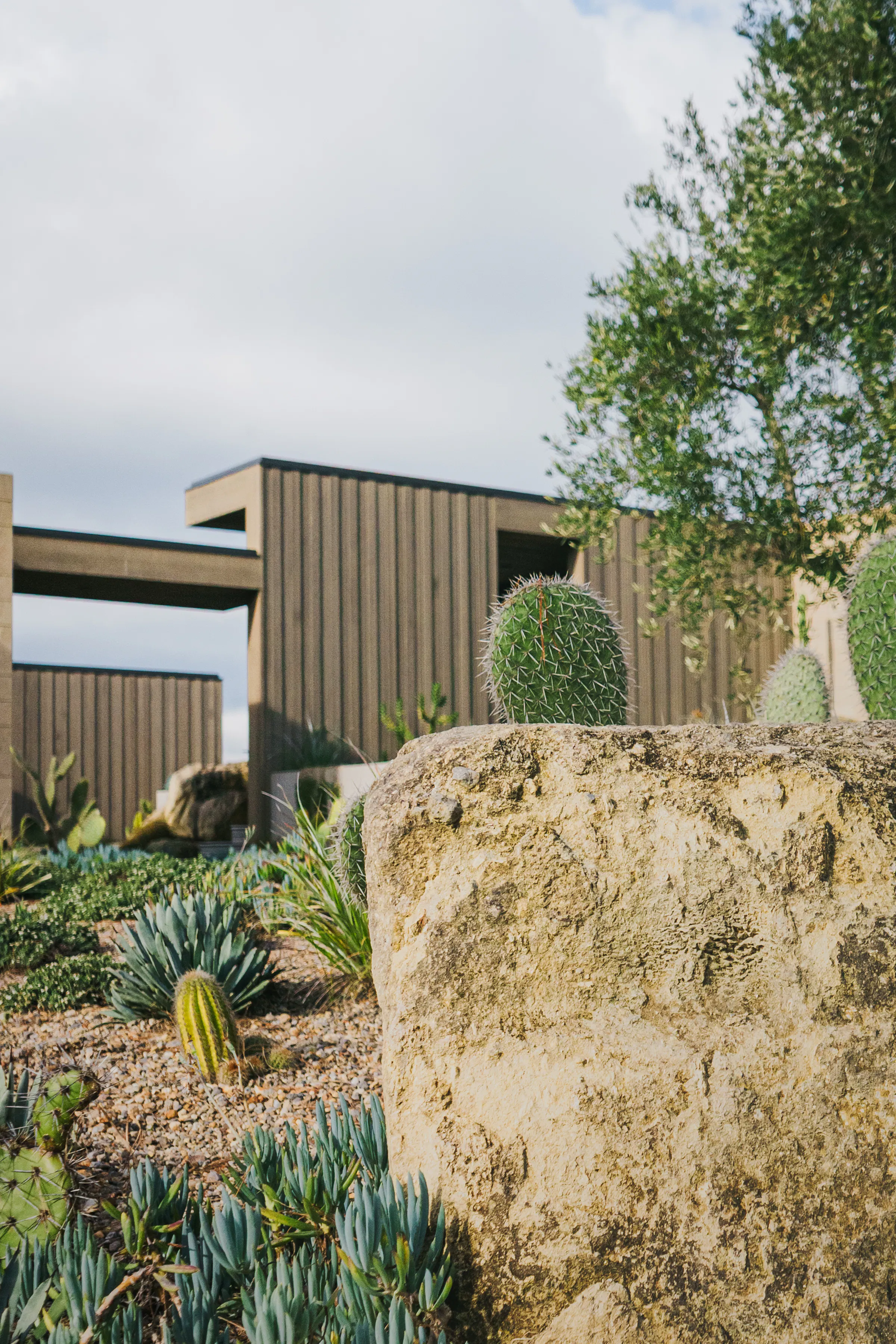 Dune House 0004