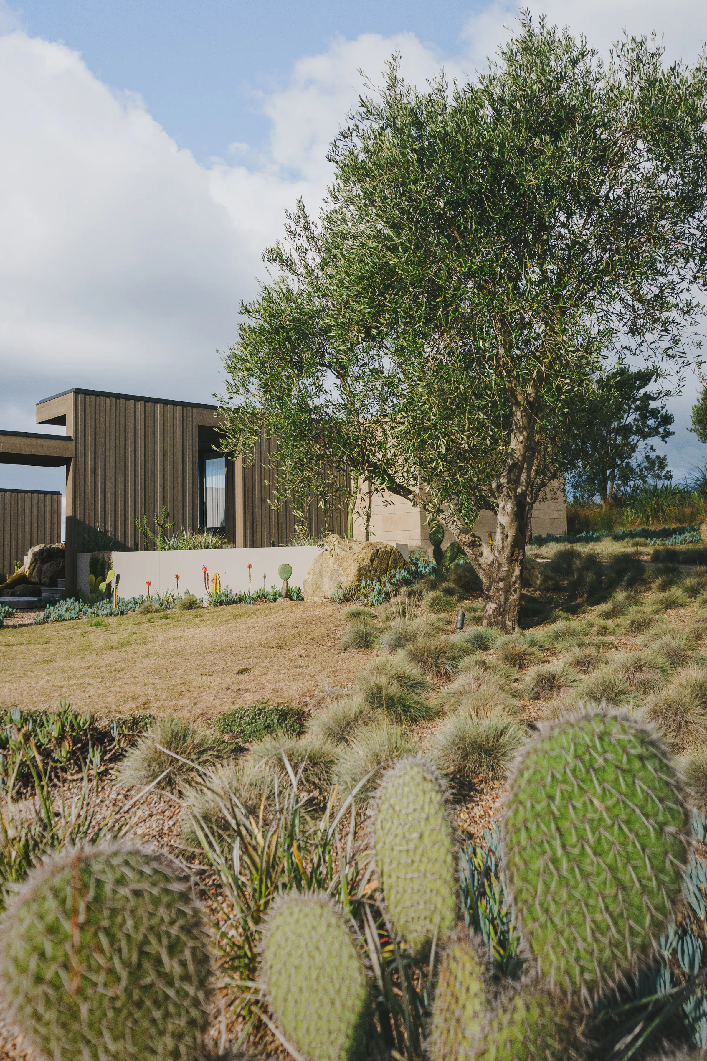 Dune House 0007