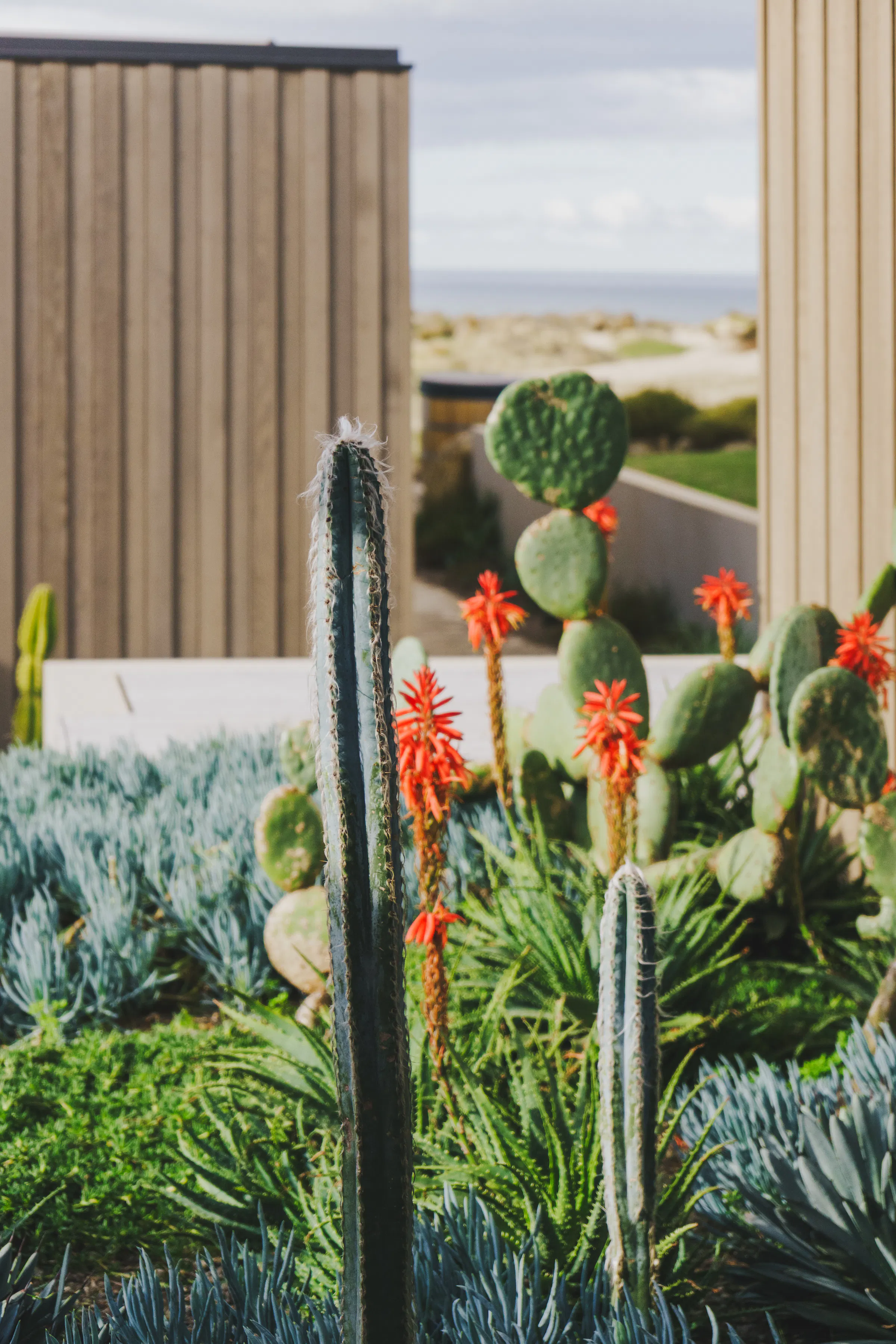 Dune House 0014