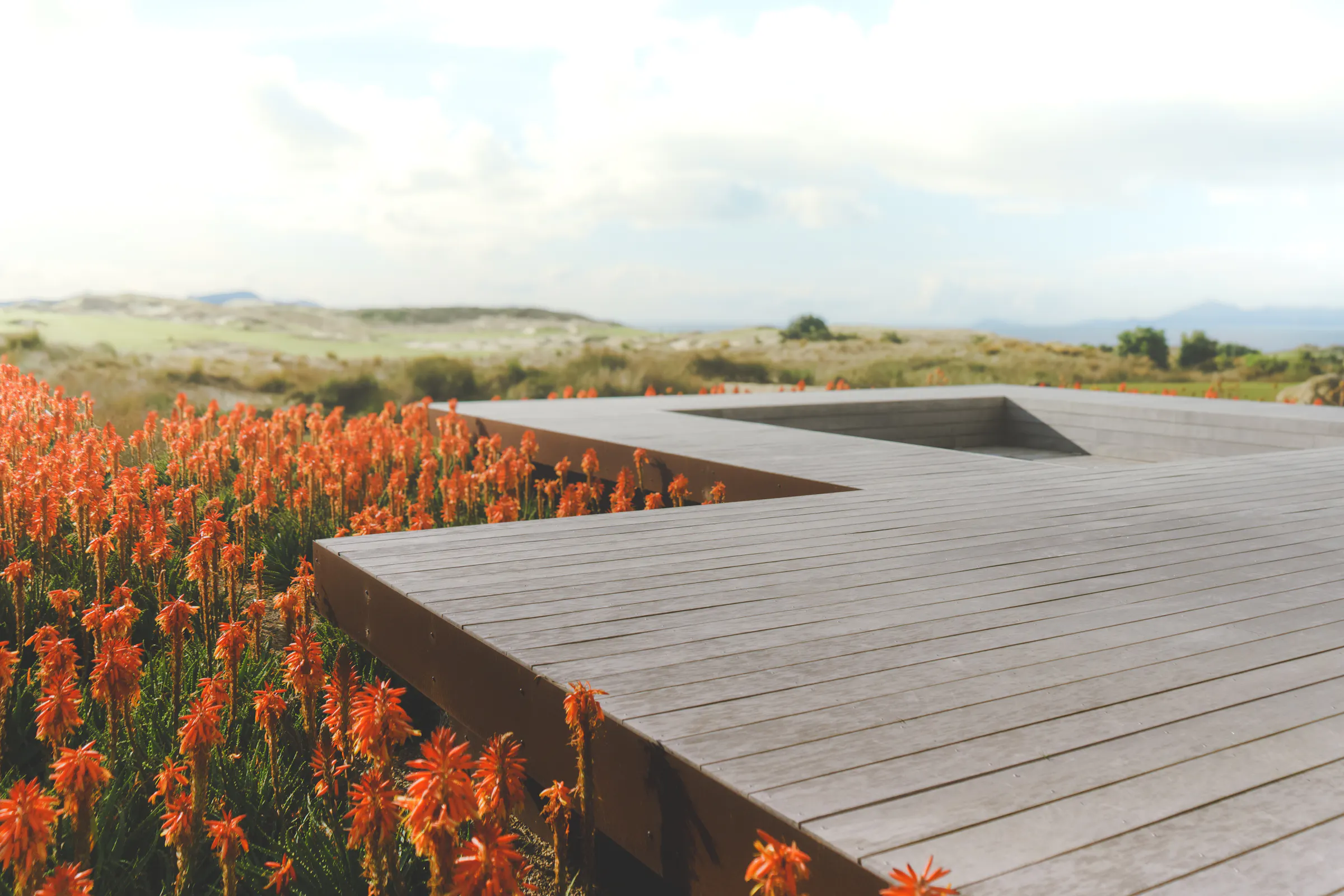 Dune House 0026