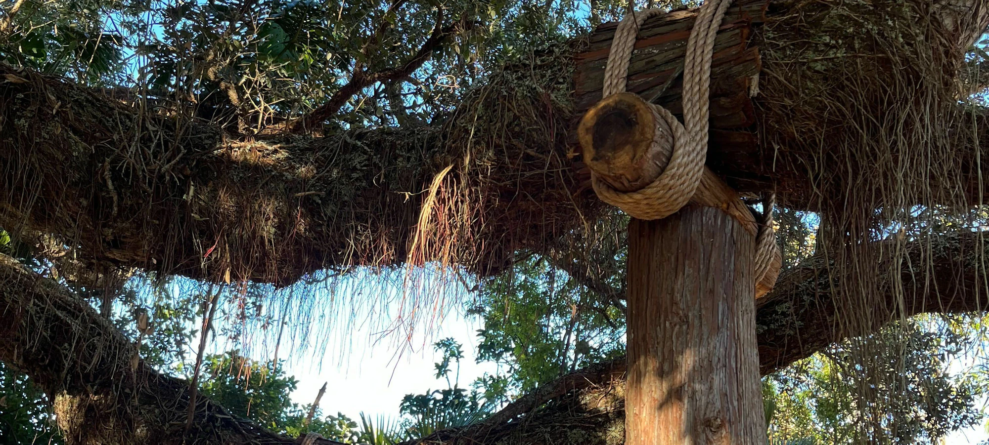 The Art Of Propping Trees - Xanthe White Design