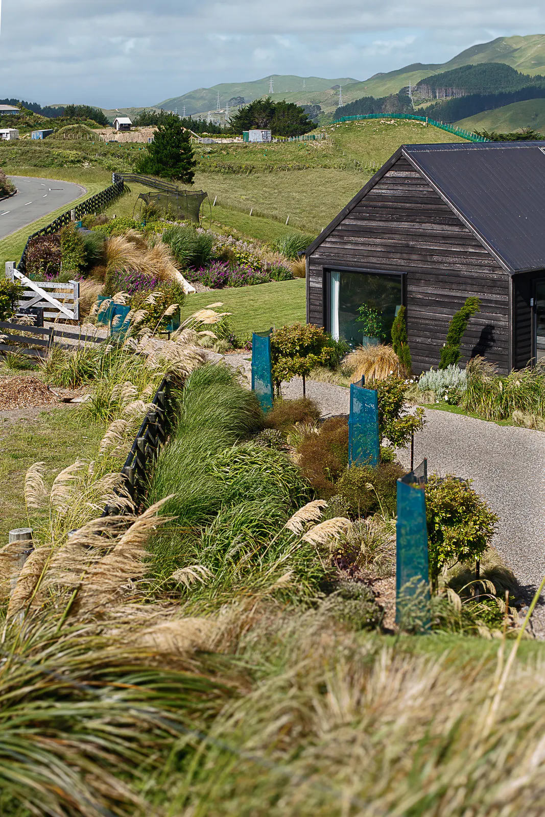 IMG 8341