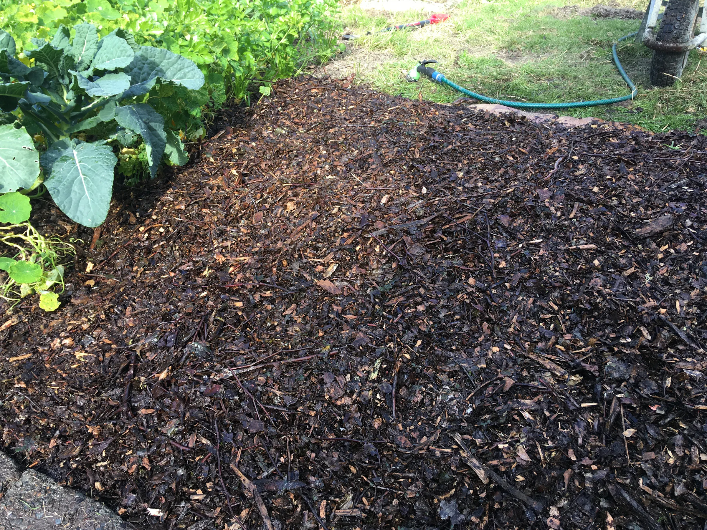 12 Finished Mulching