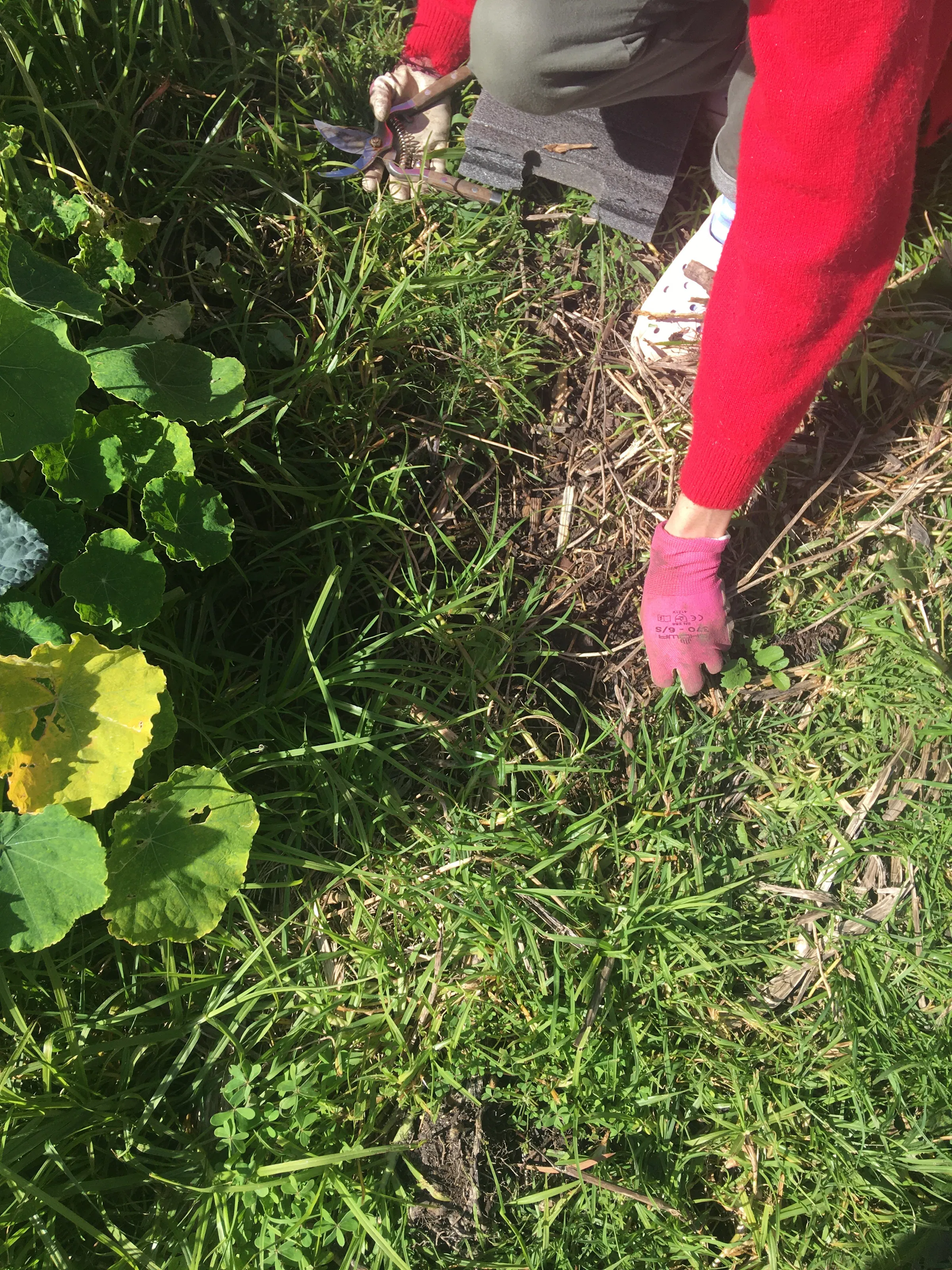2 remove the grass