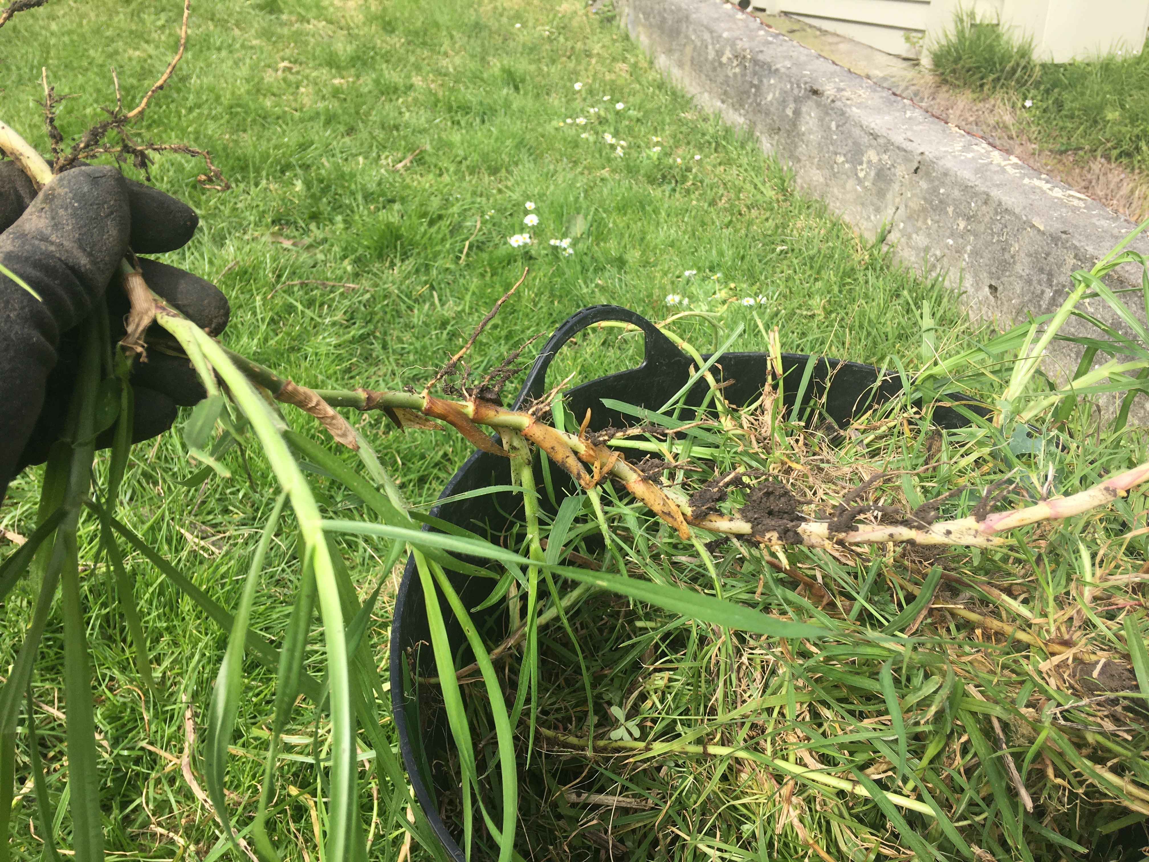 4 pull all the grass runners