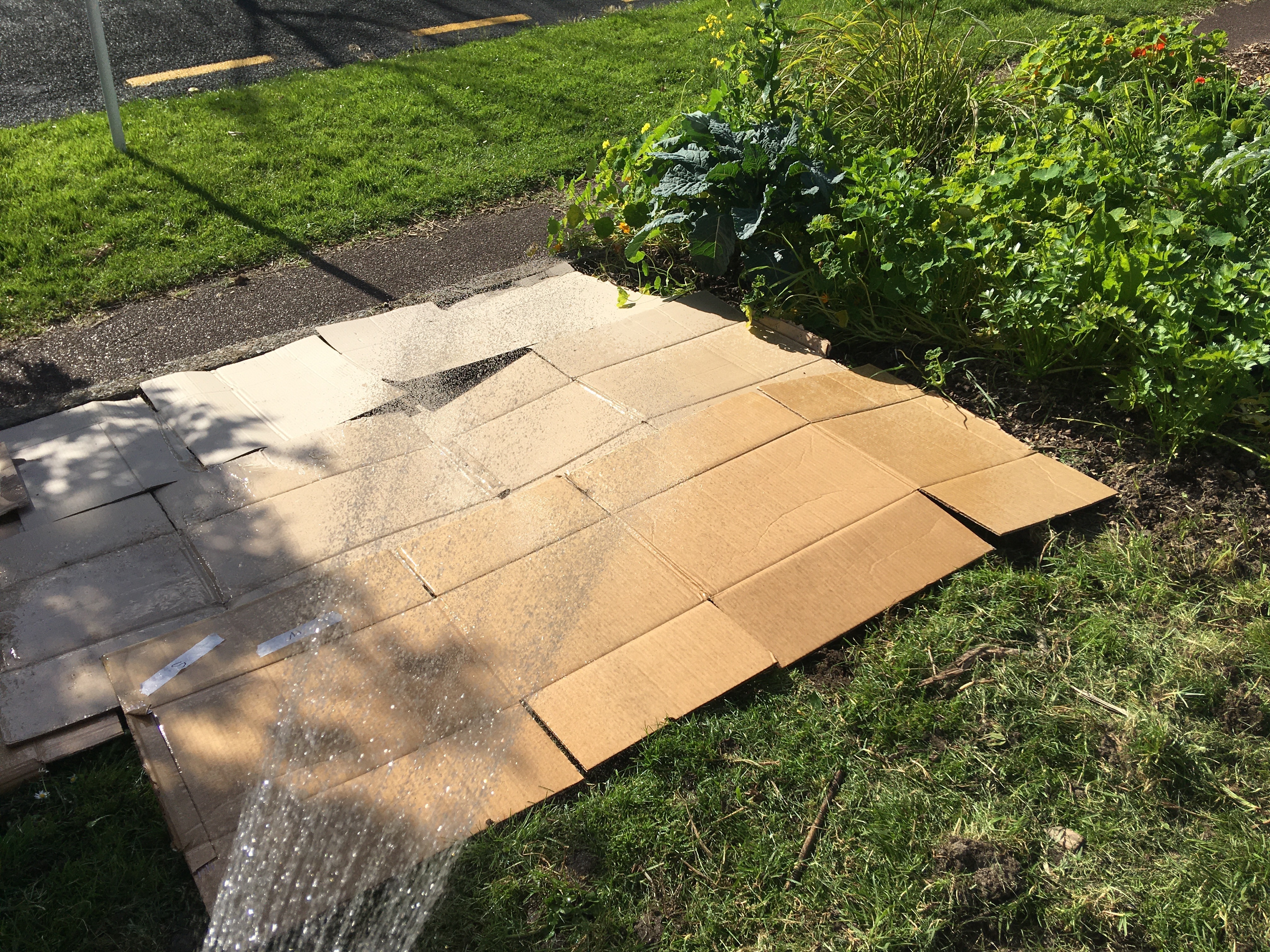 5 place and soak the cardboard