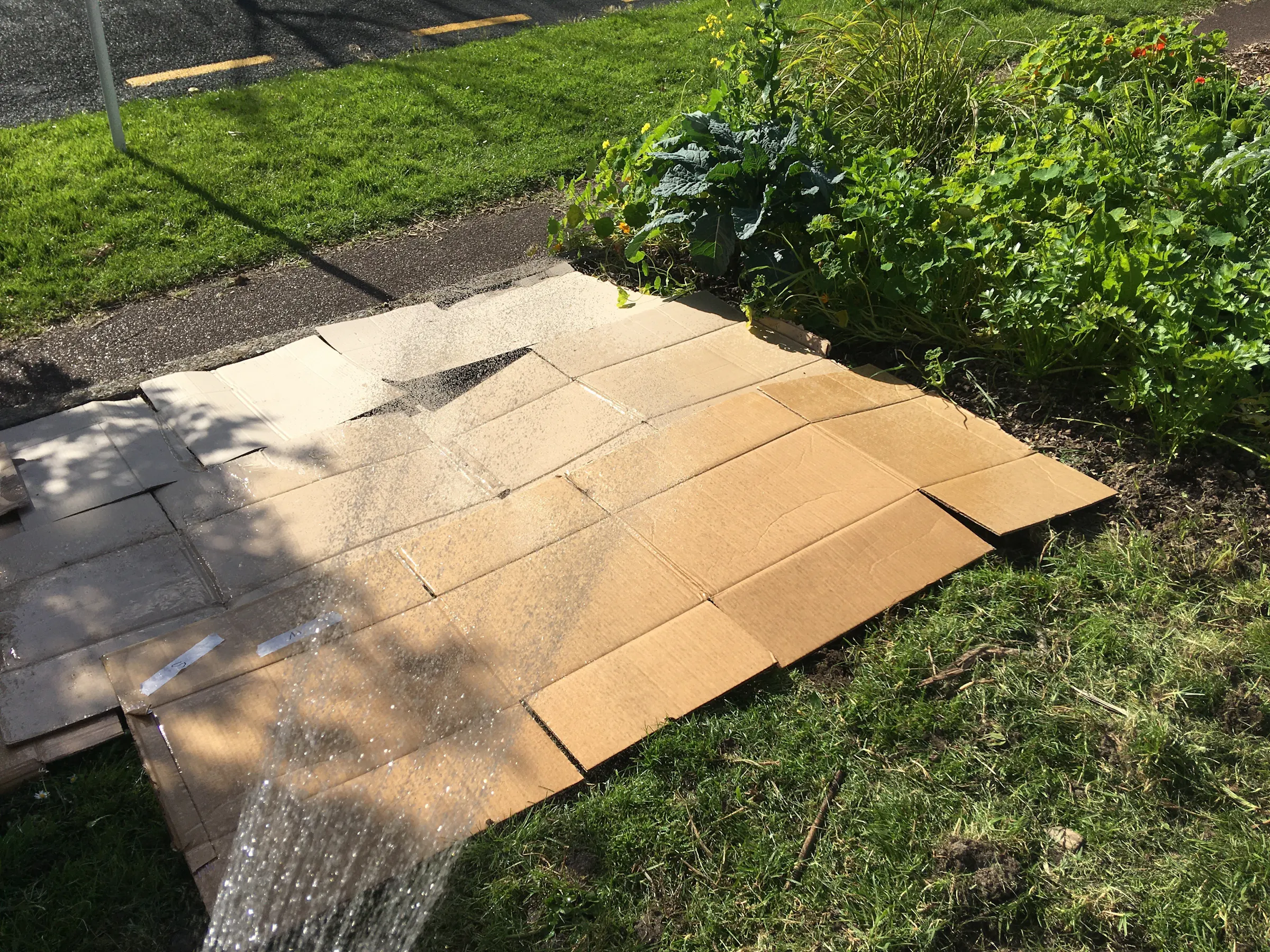 5 place and soak the cardboard