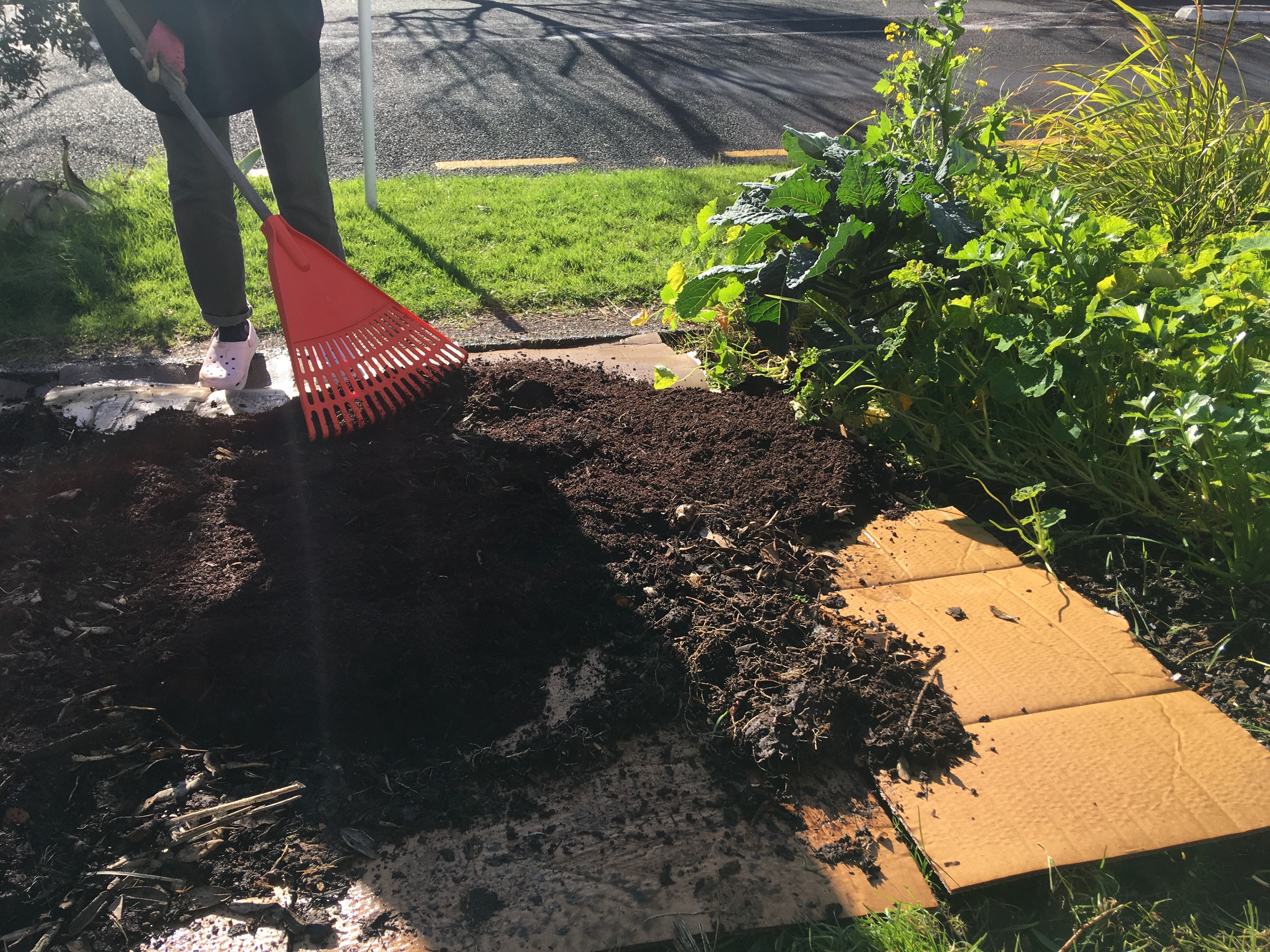 6 Spread the compost onto the wet cardboard