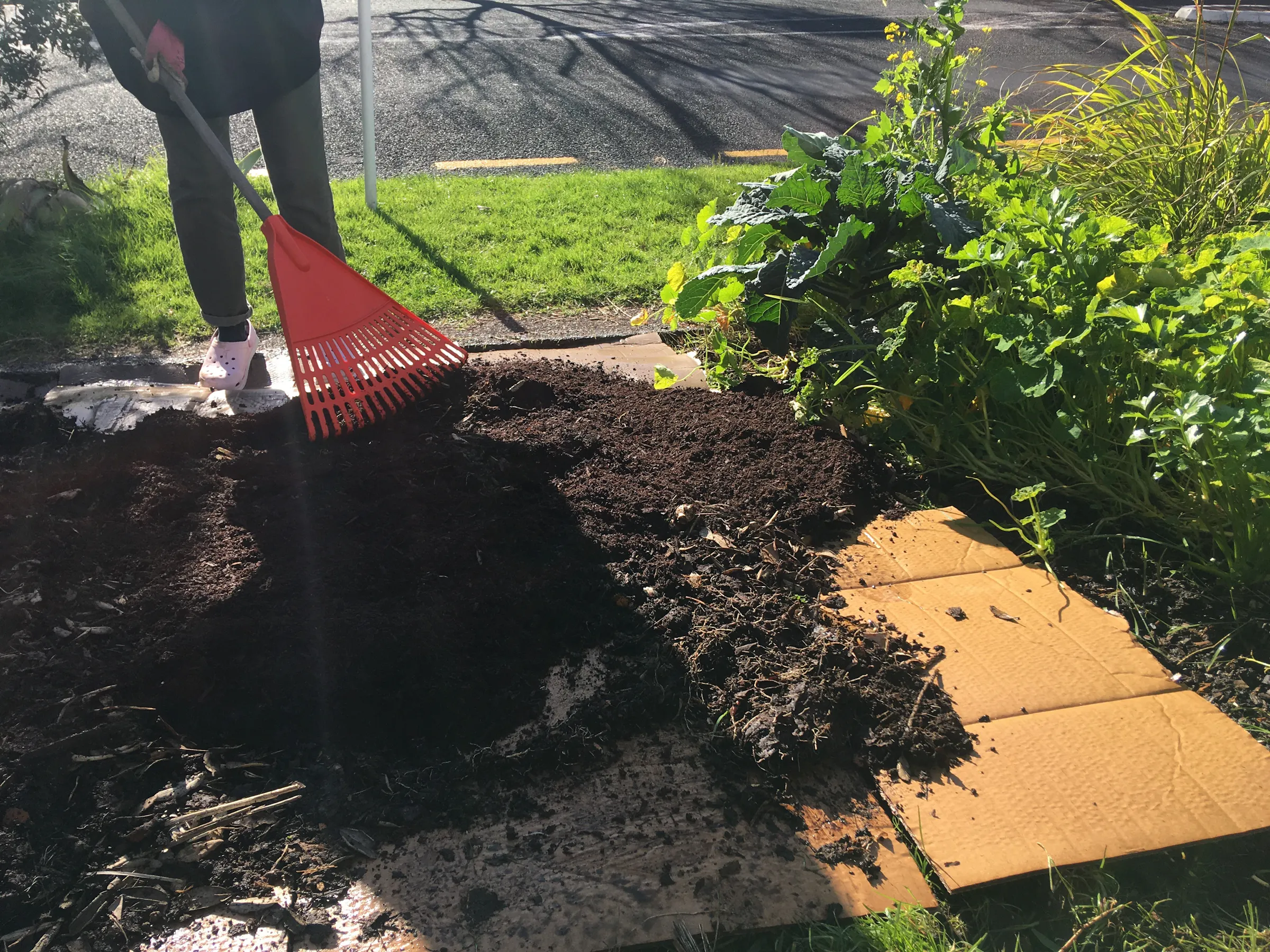 6 Spread the compost onto the wet cardboard