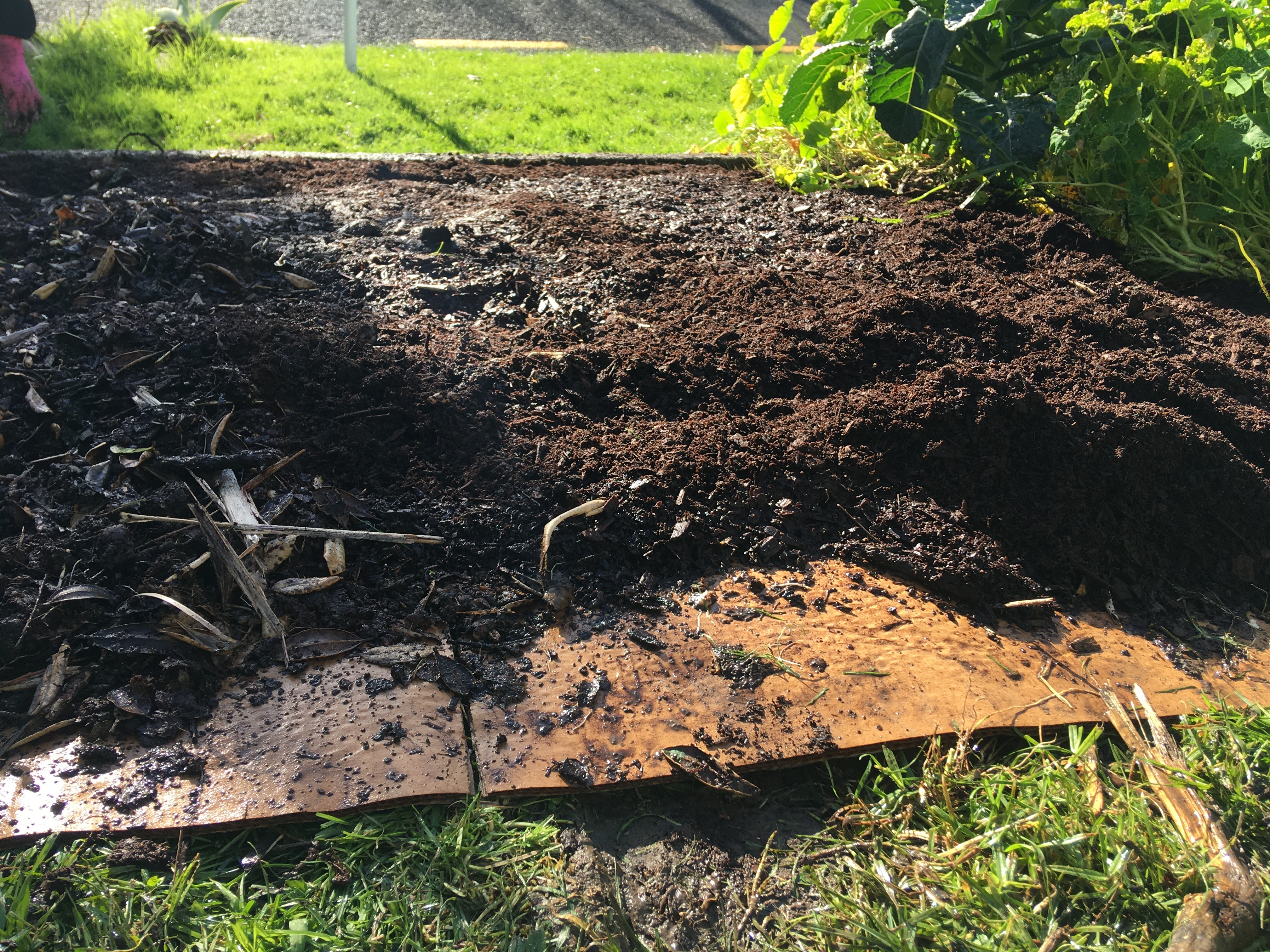 7 depth of compost layer