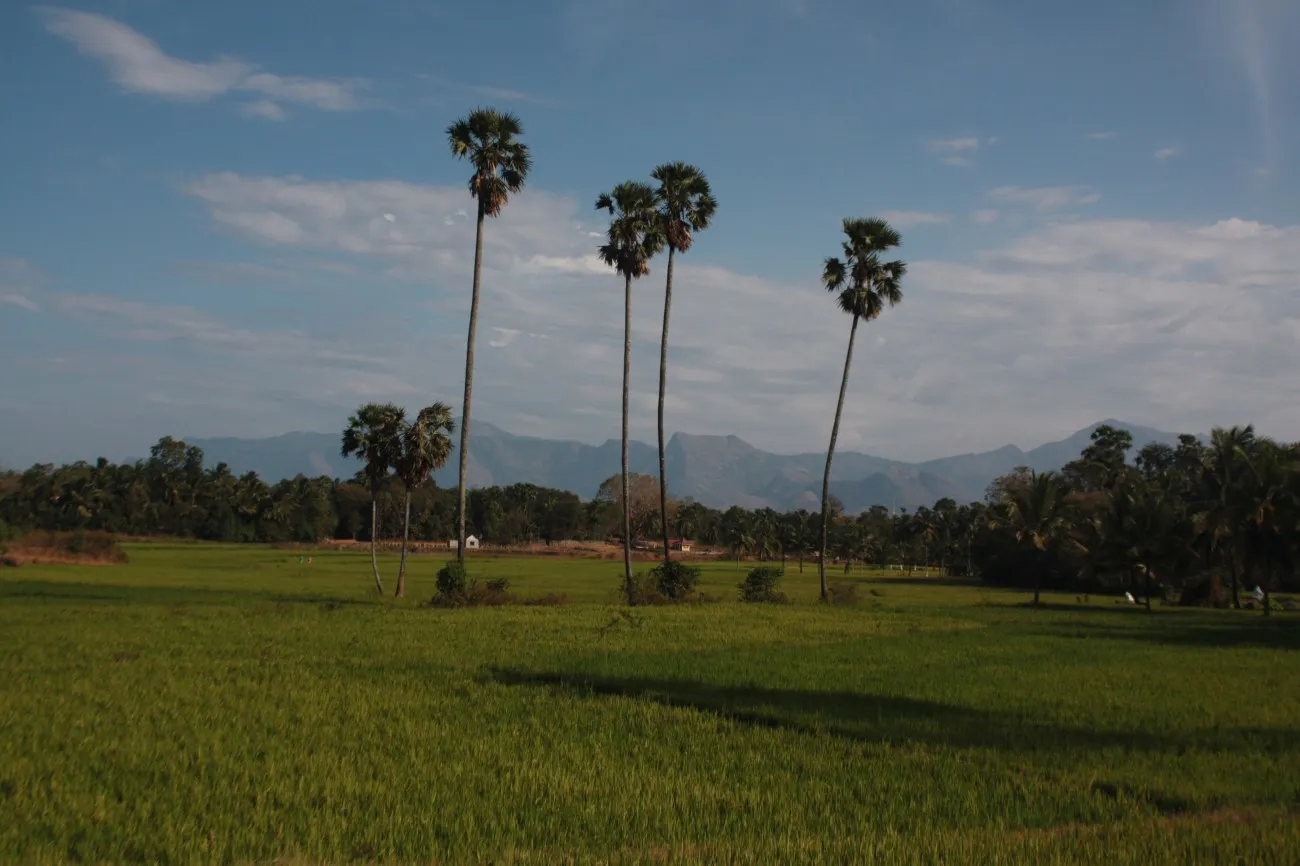 Kerala2