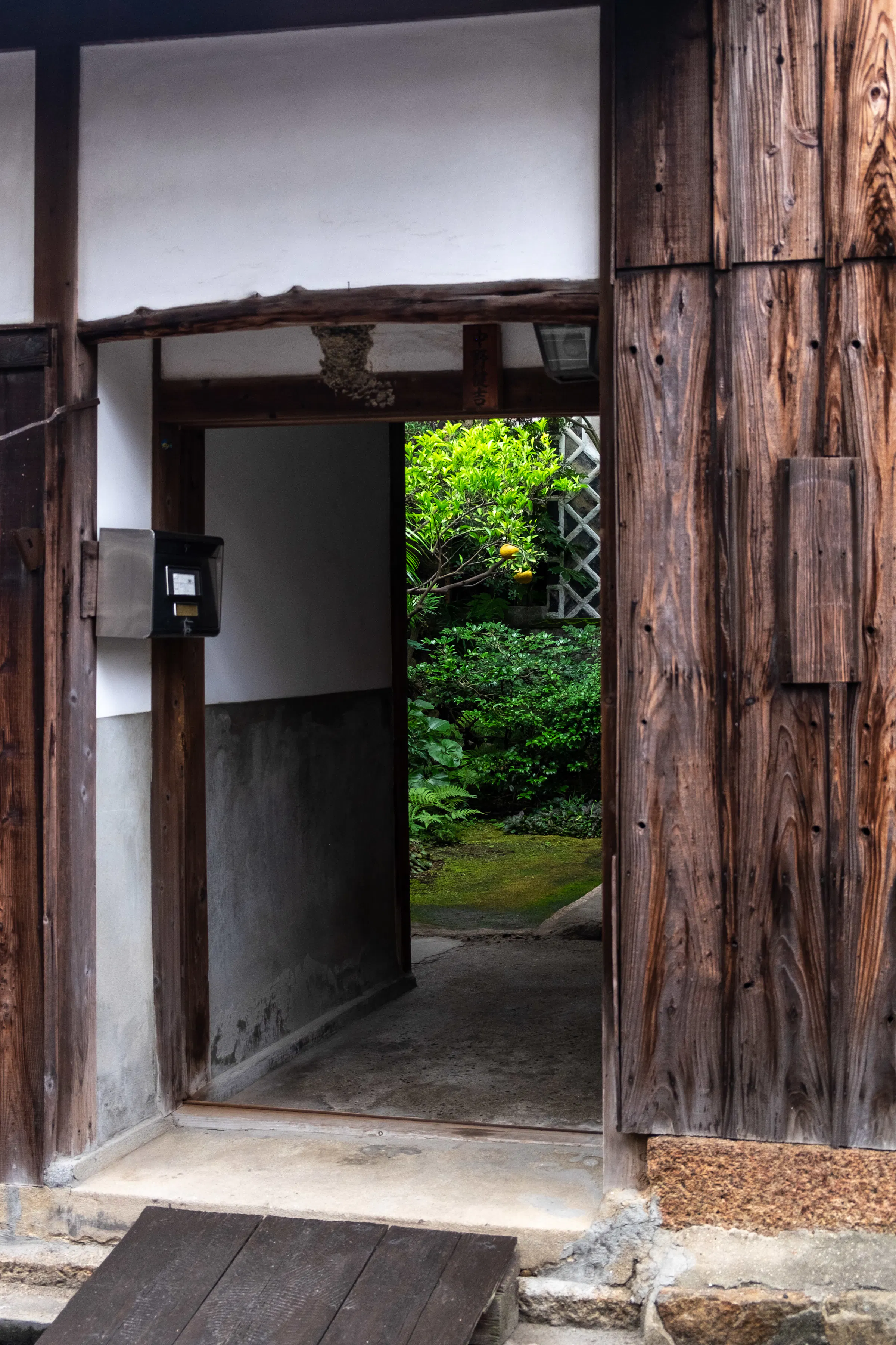 CAB Japan 7