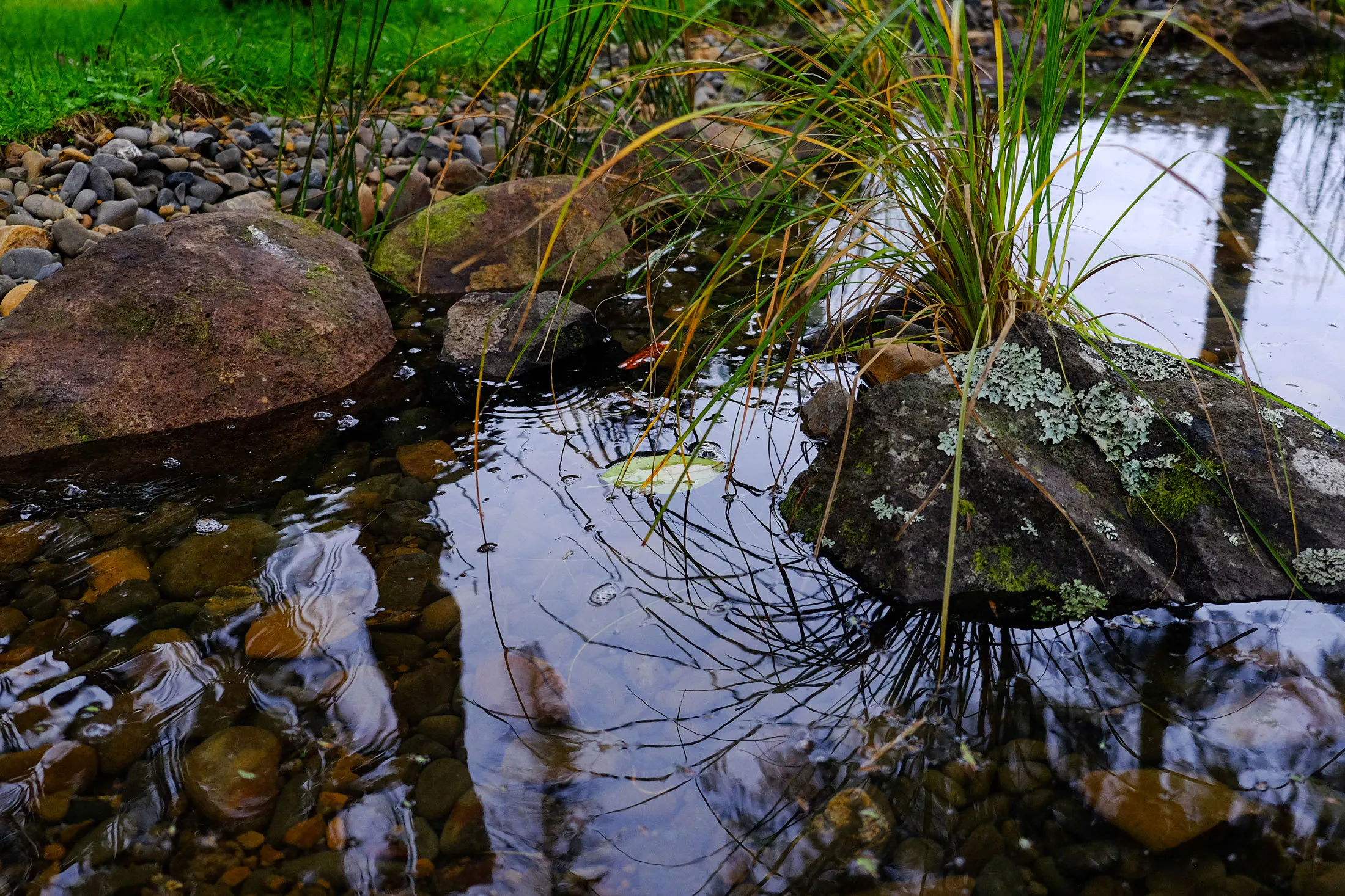DSCF1421 2 1