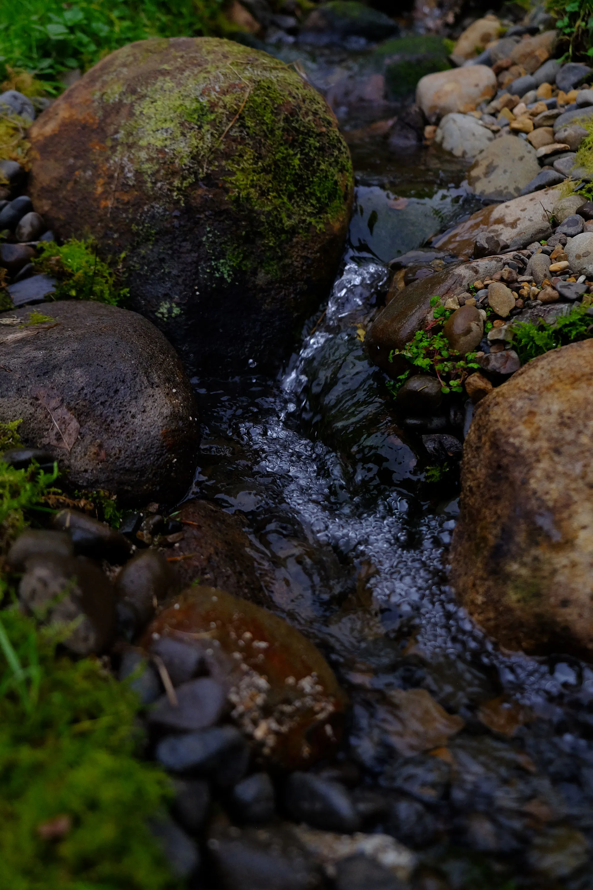 DSCF1432