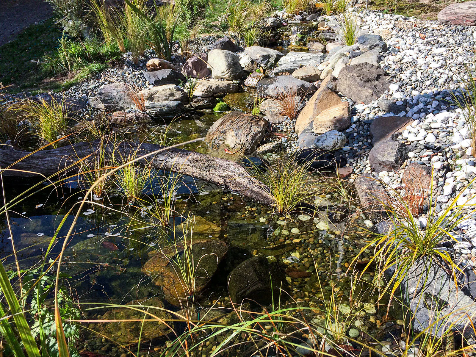 Full pond