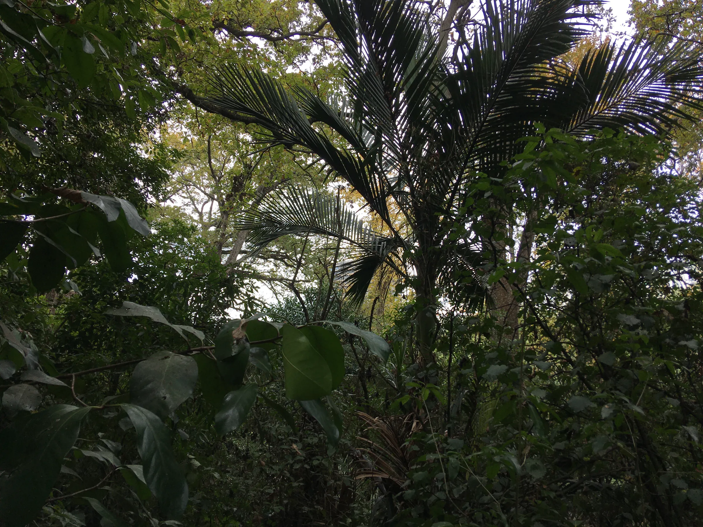 IMG 9706