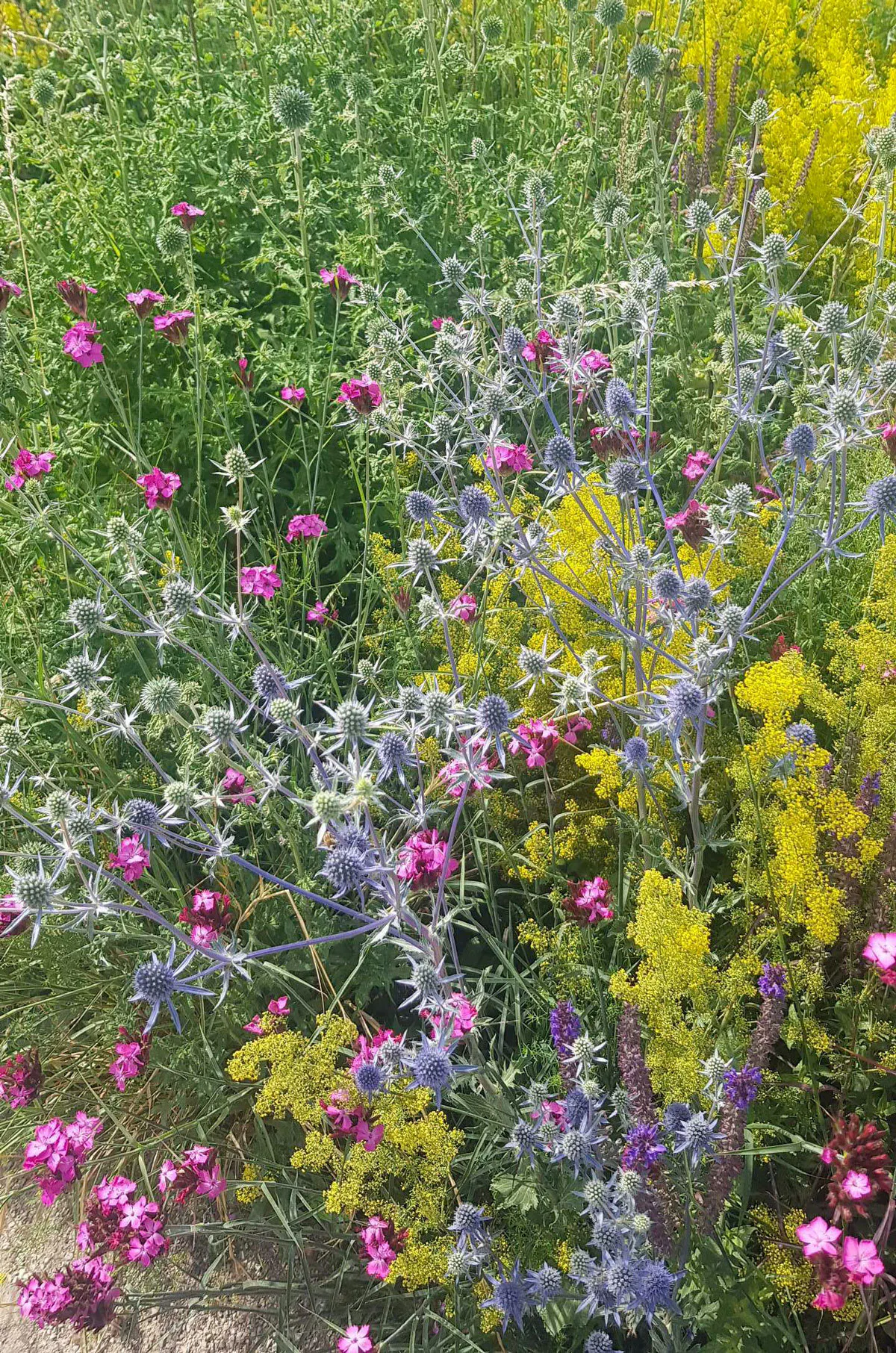 20190711 162415 web