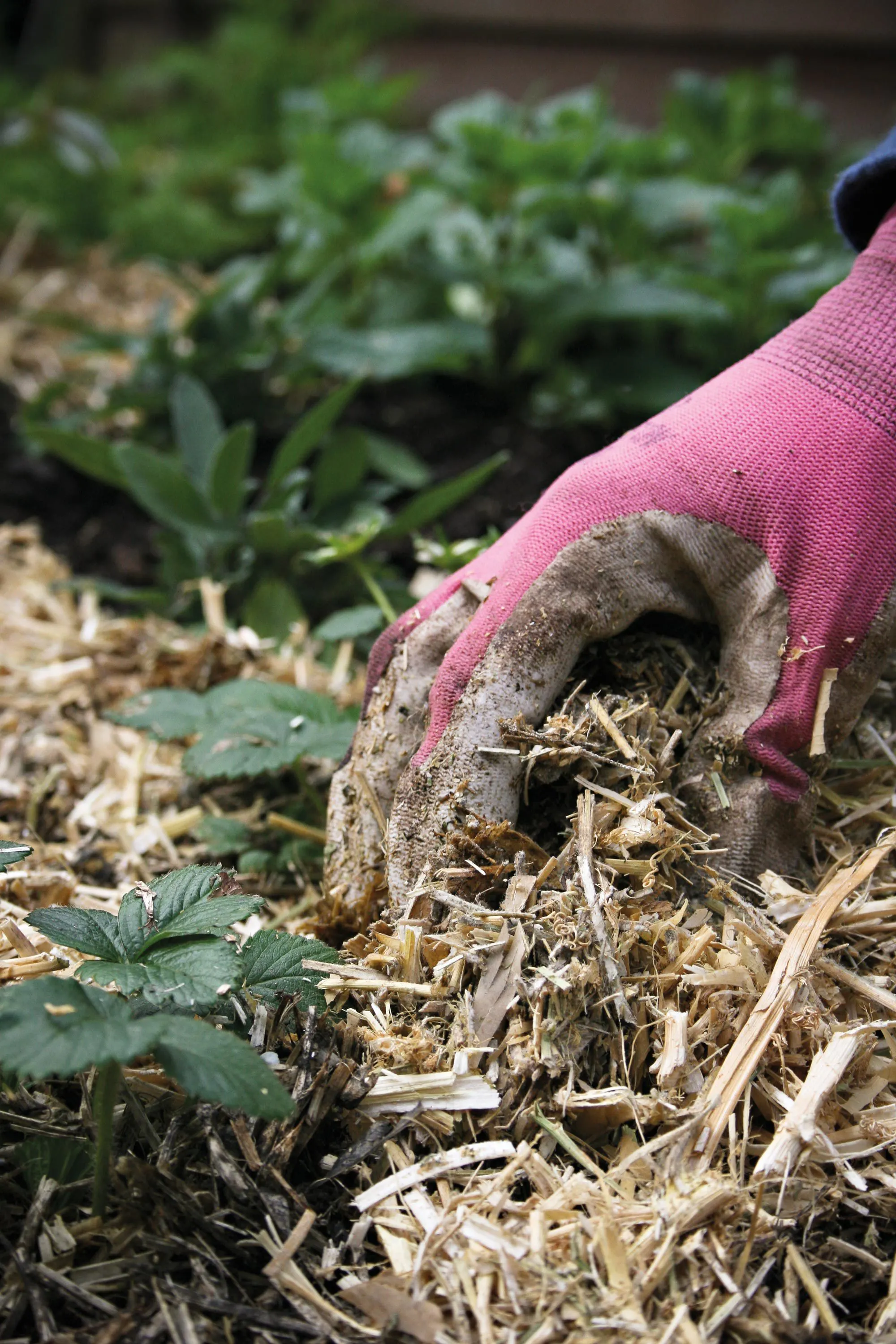 End mulch