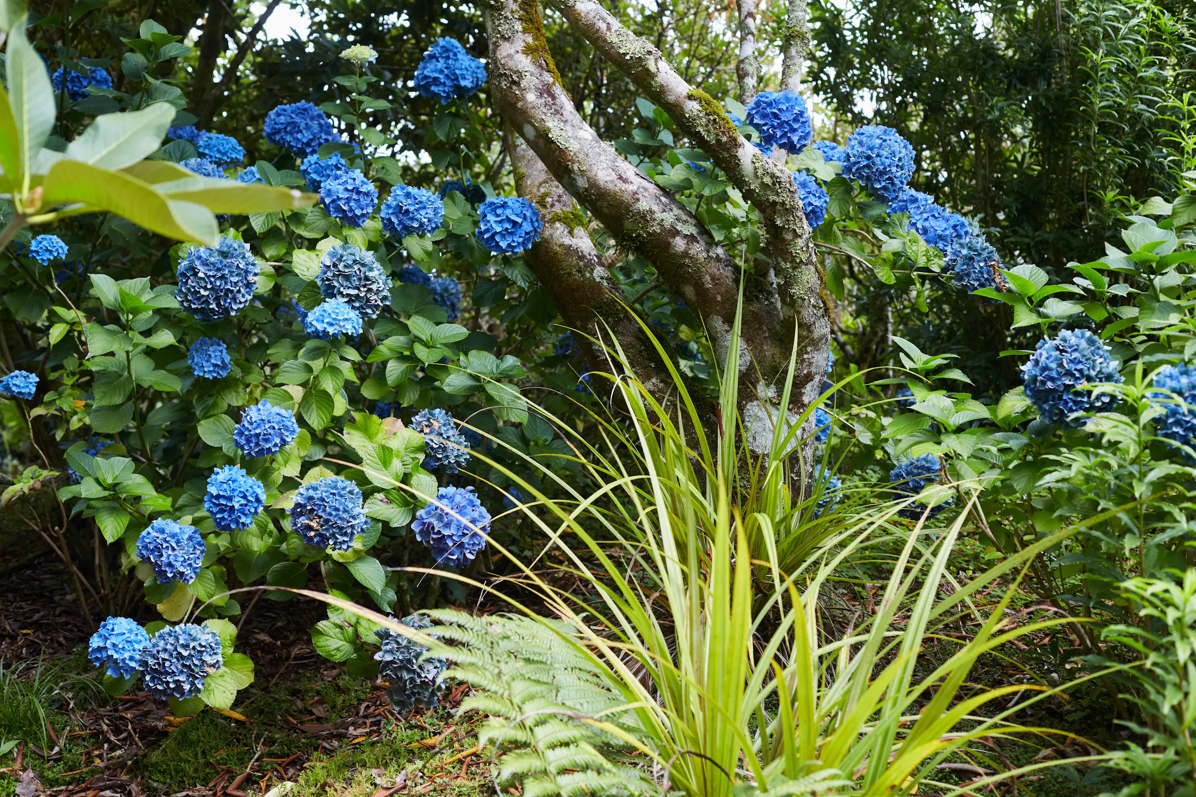 Nwoo New Plymouth Feb2020 191 web
