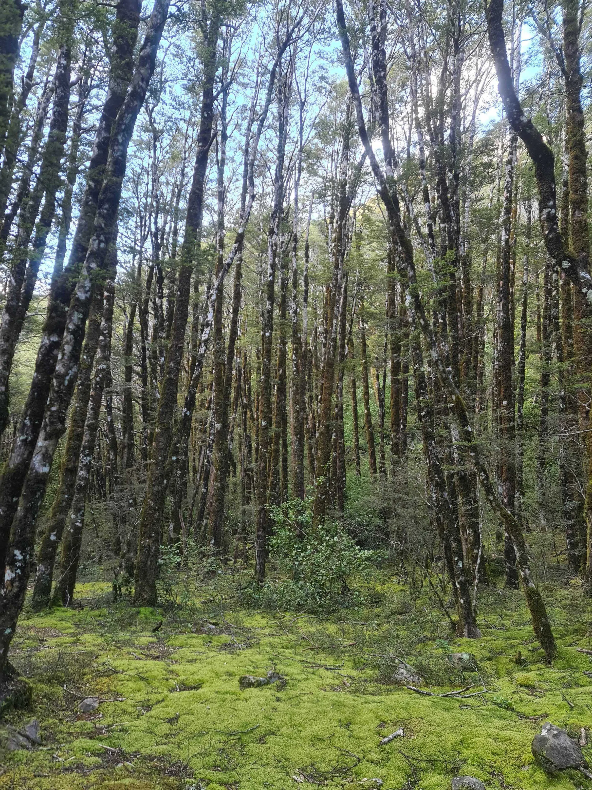 20201024 182124