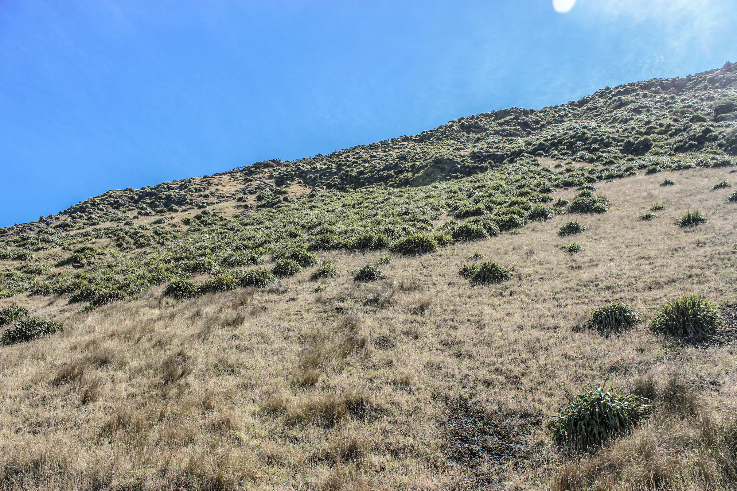 IMG 0954 1 1