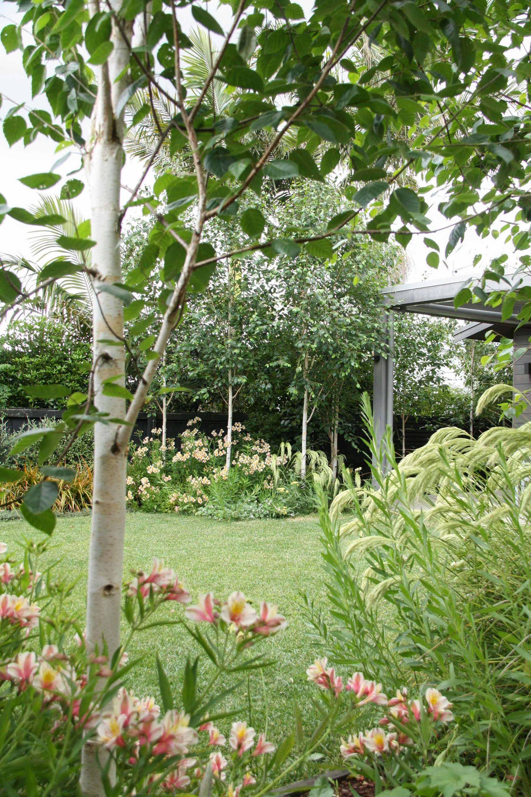 IMG 0612 web