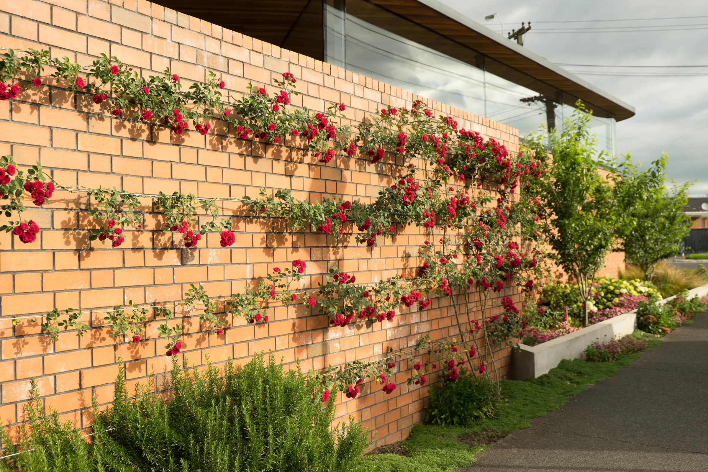 XWD Rangimatarau 7291 web