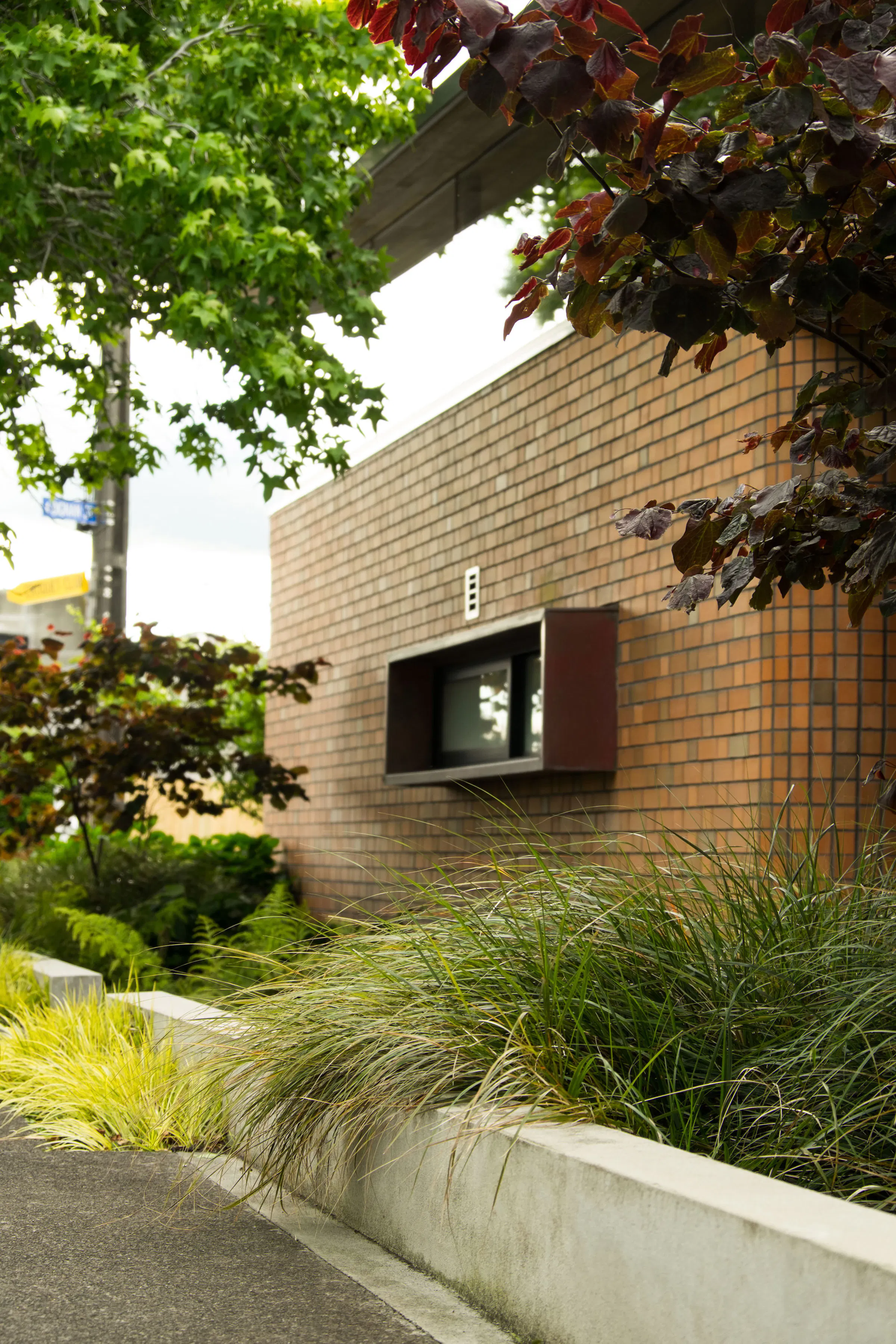 XWD Rangimatarau 7323 web