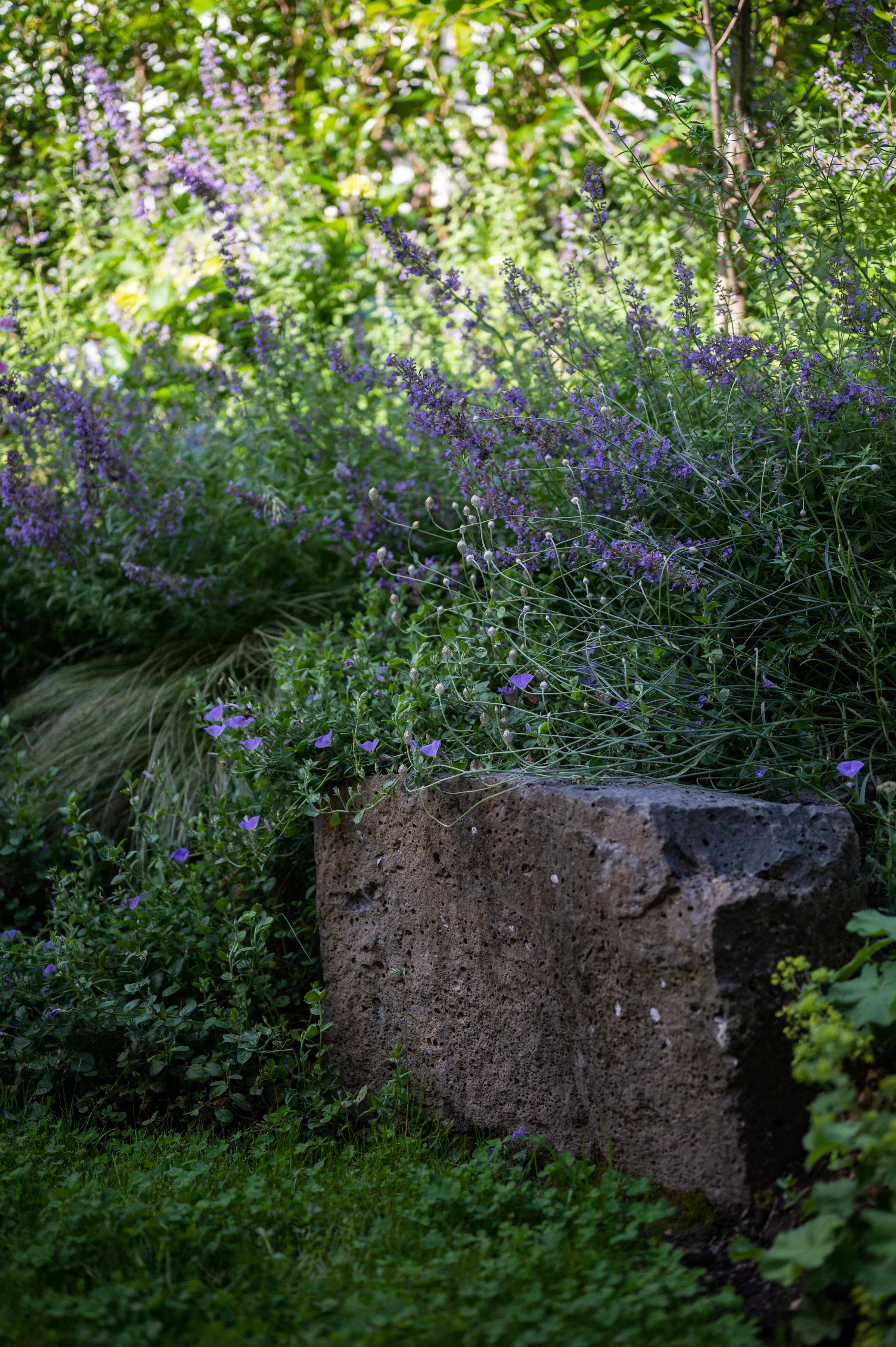 DSC 8717