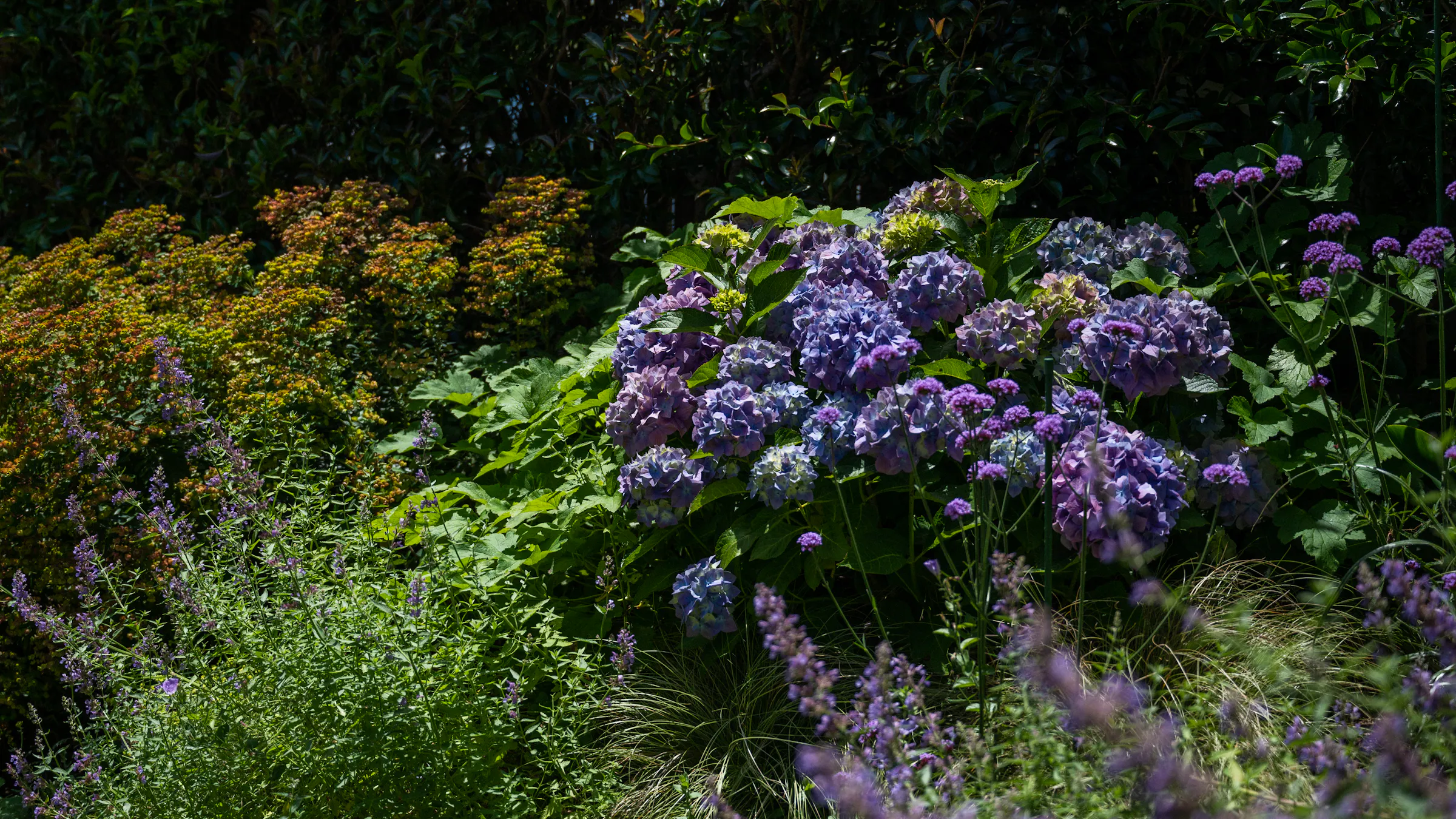 DSC 8782 copy