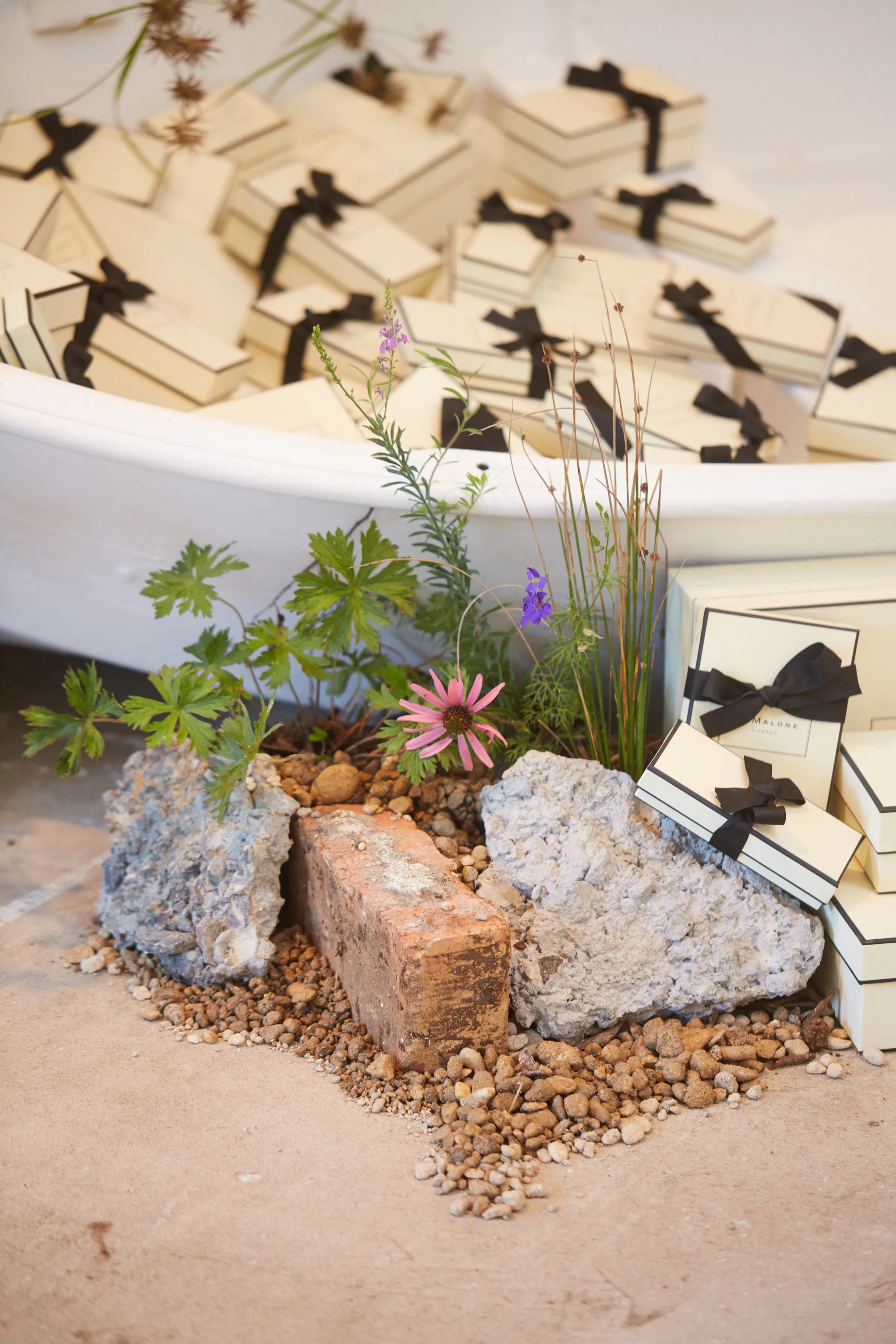 N Woo Jo Malone 52edit