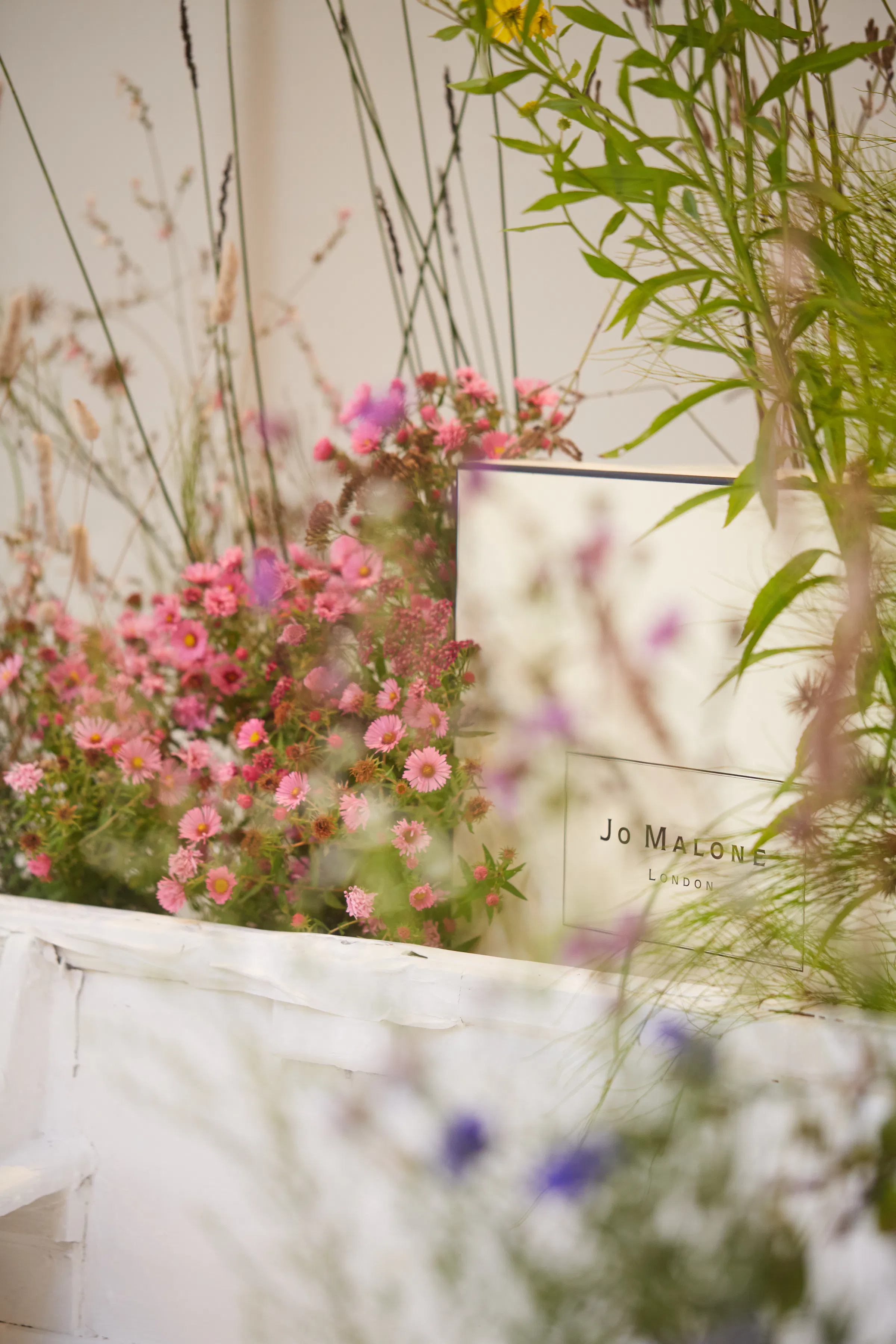 N Woo Jo Malone 74edit