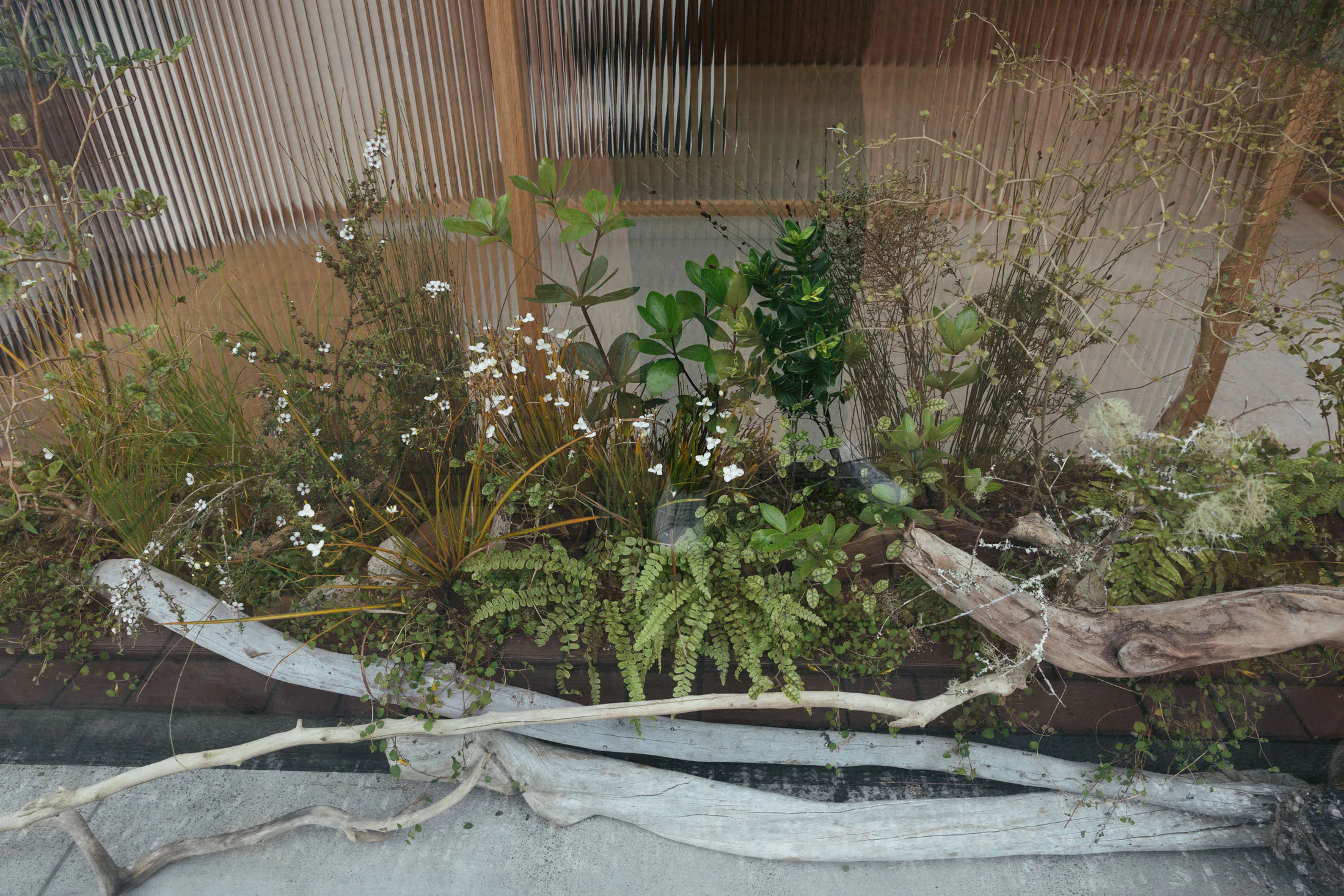 JP1 5036 web