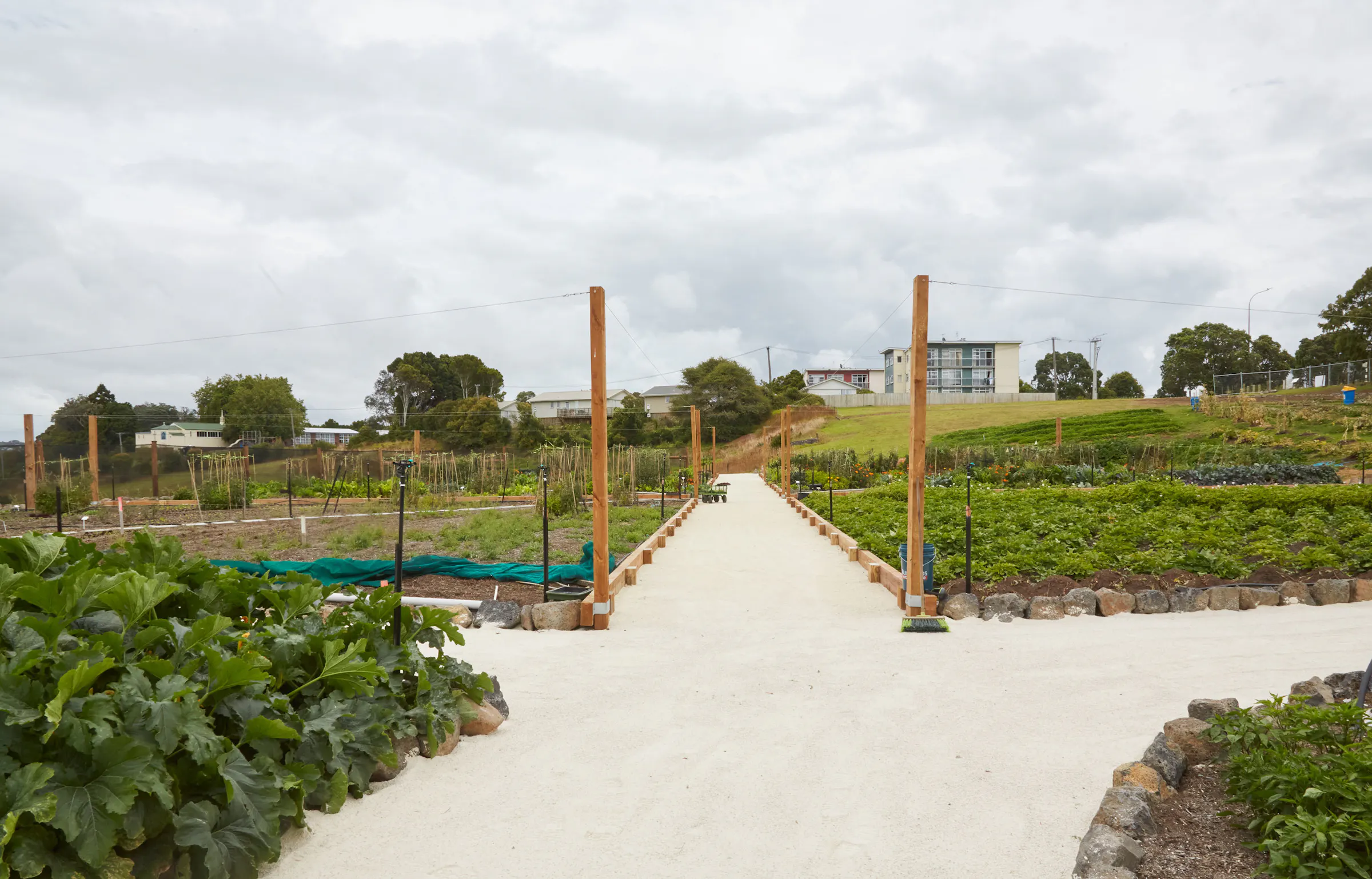 N Woo XWD Nursery Mara Kai Feb20210618 web