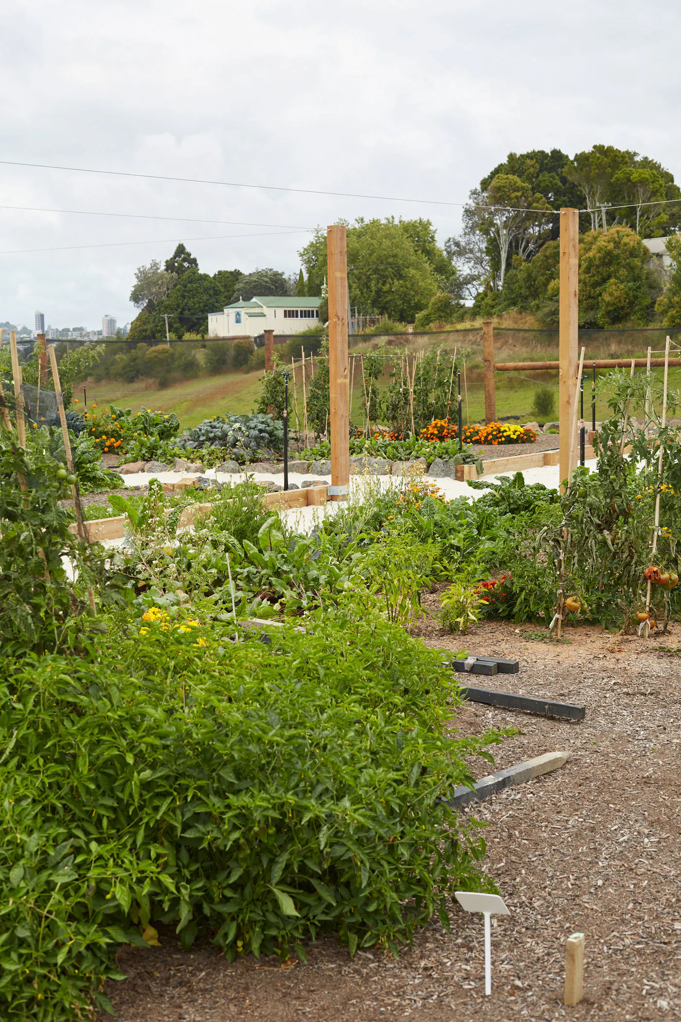 N Woo XWD Nursery Mara Kai Feb20210640 web