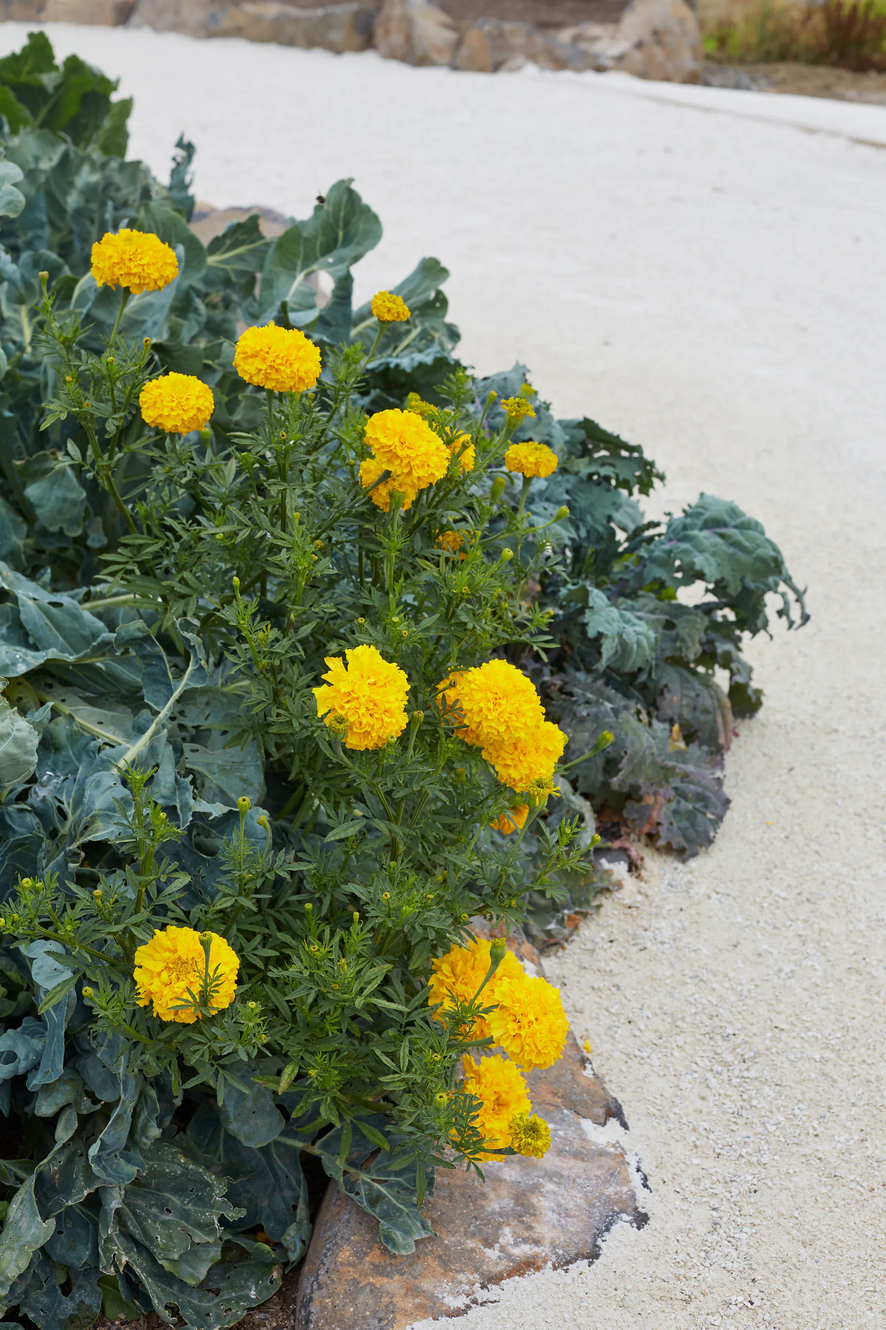 N Woo XWD Nursery Mara Kai Feb20210688 web