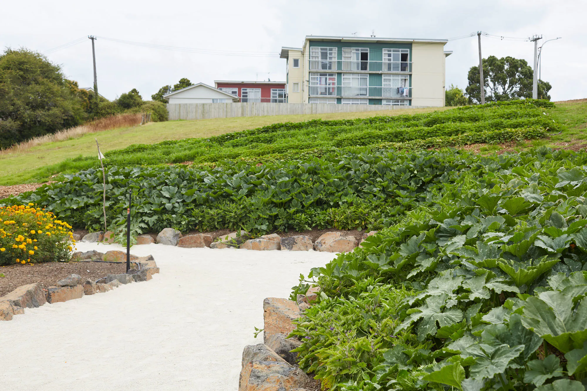 N Woo XWD Nursery Mara Kai Feb20210826 web