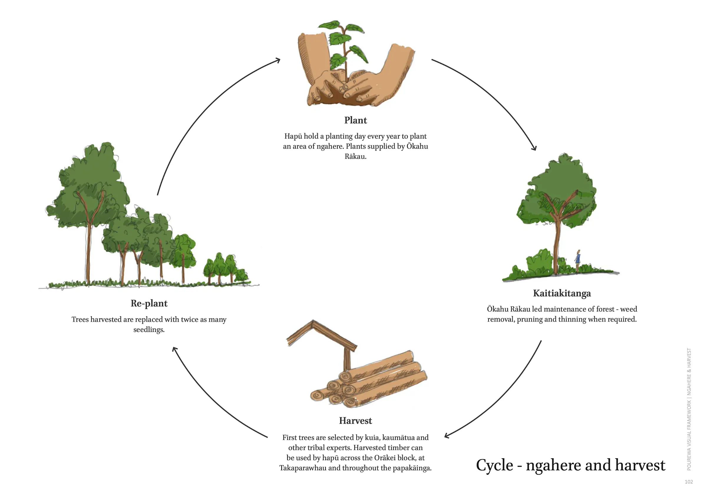 Cycle