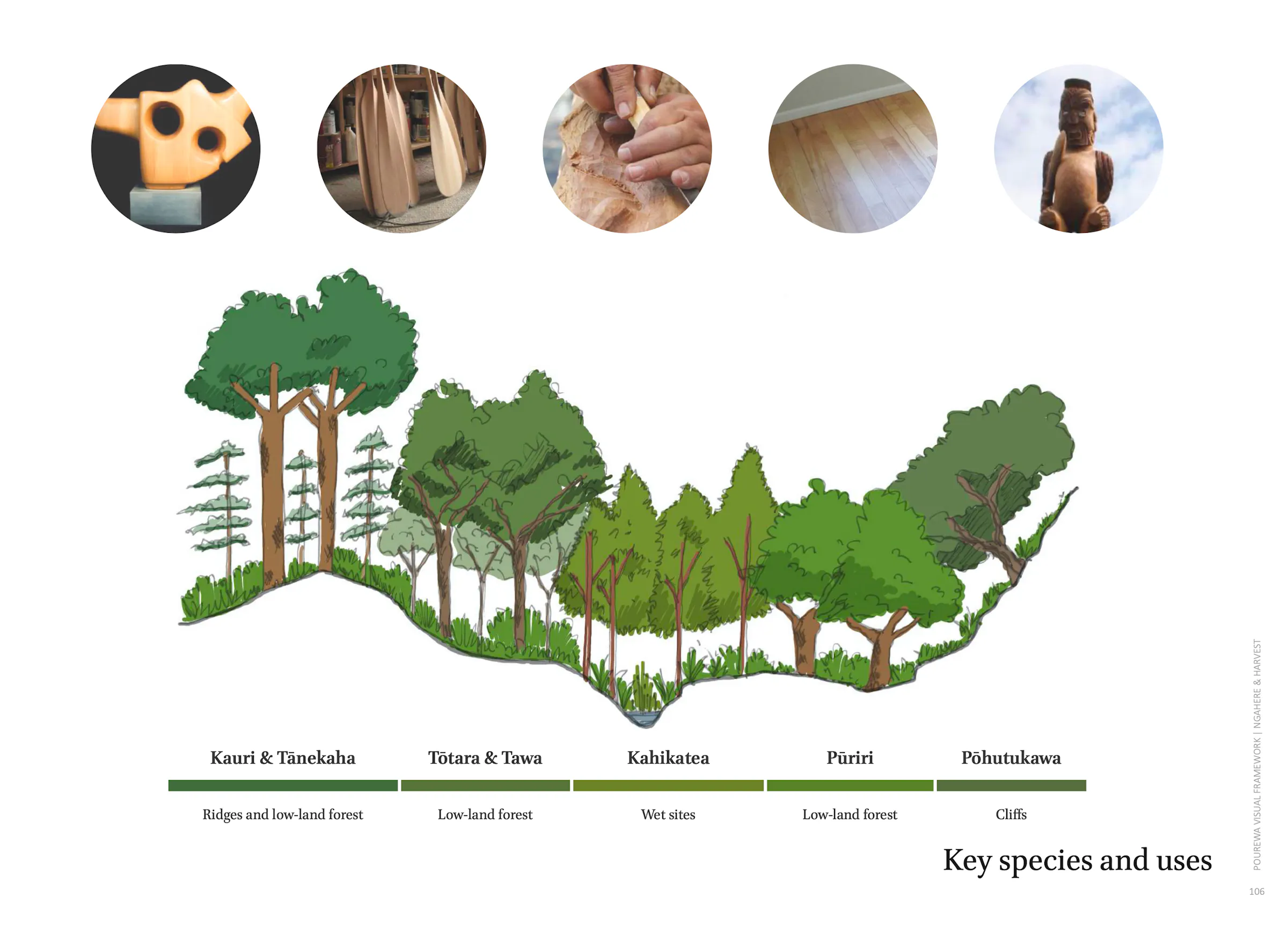 Species and uses