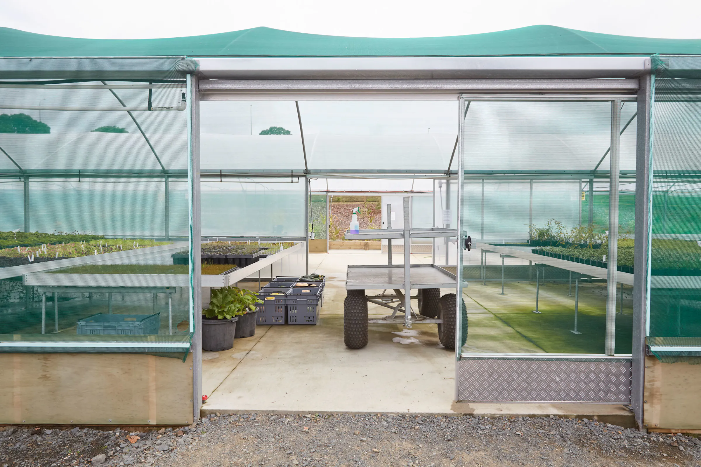 N Woo XWD Nursery Mara Kai Feb20210131 web