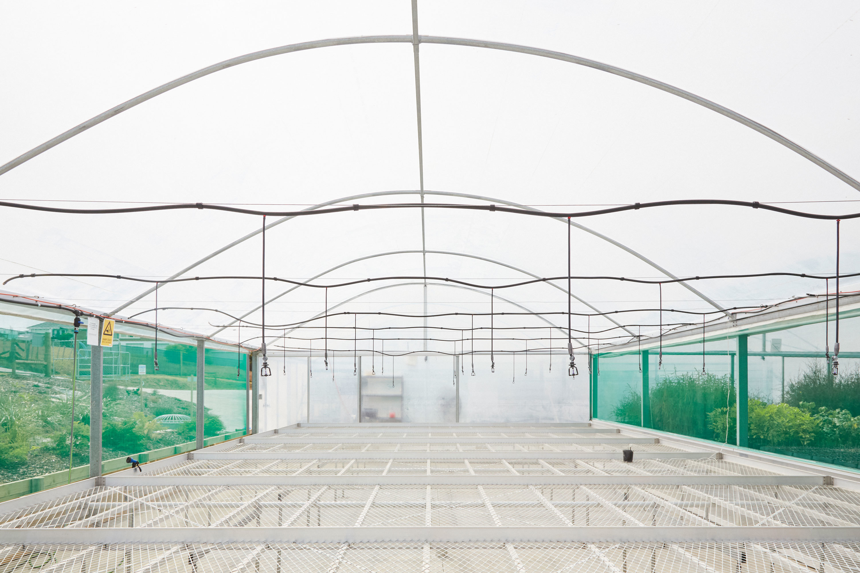 N Woo XWD Nursery Mara Kai Feb20210164 web