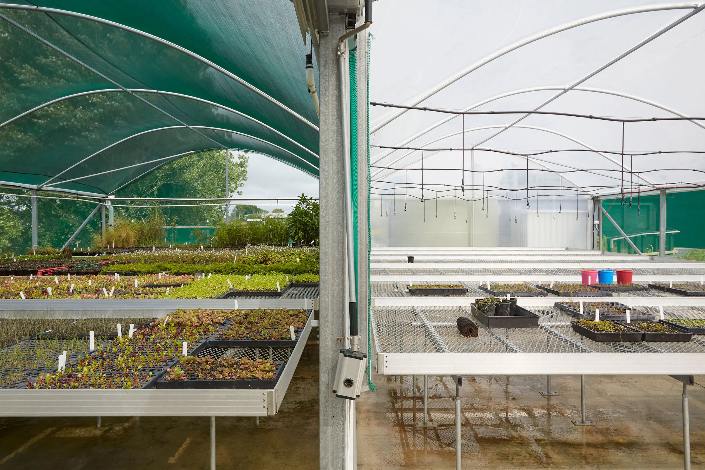 N Woo XWD Nursery Mara Kai Feb20210170 web