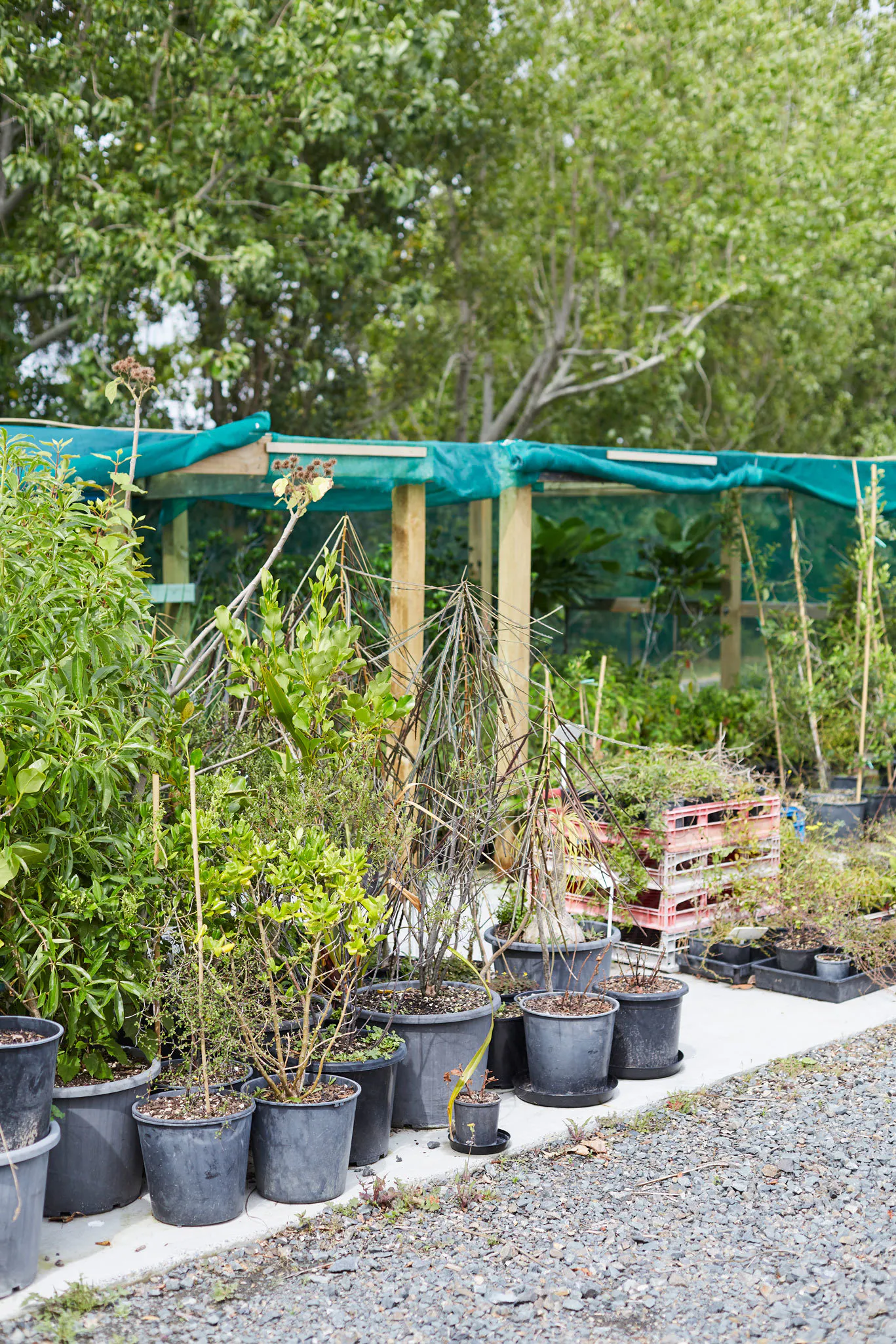 N Woo XWD Nursery Mara Kai Feb20210220 web