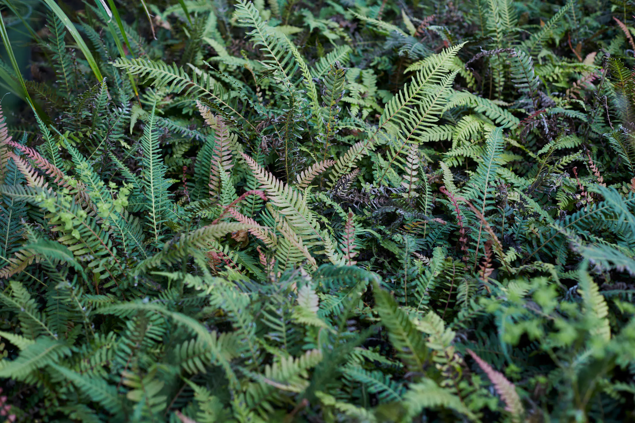 N Woo XWD Nursery Mara Kai Feb20210260 web