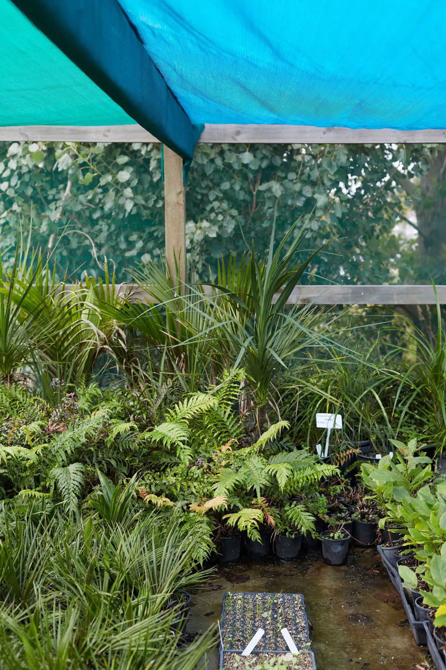 N Woo XWD Nursery Mara Kai Feb20210271 web