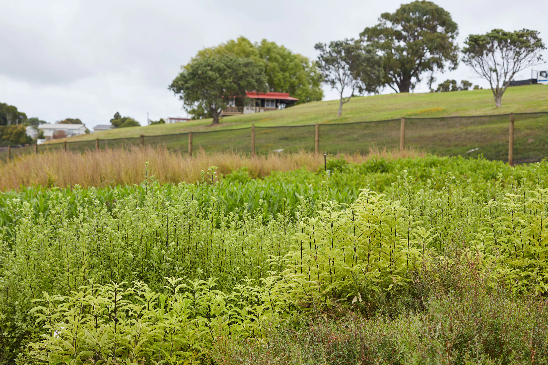 N Woo XWD Nursery Mara Kai Feb20210374 web