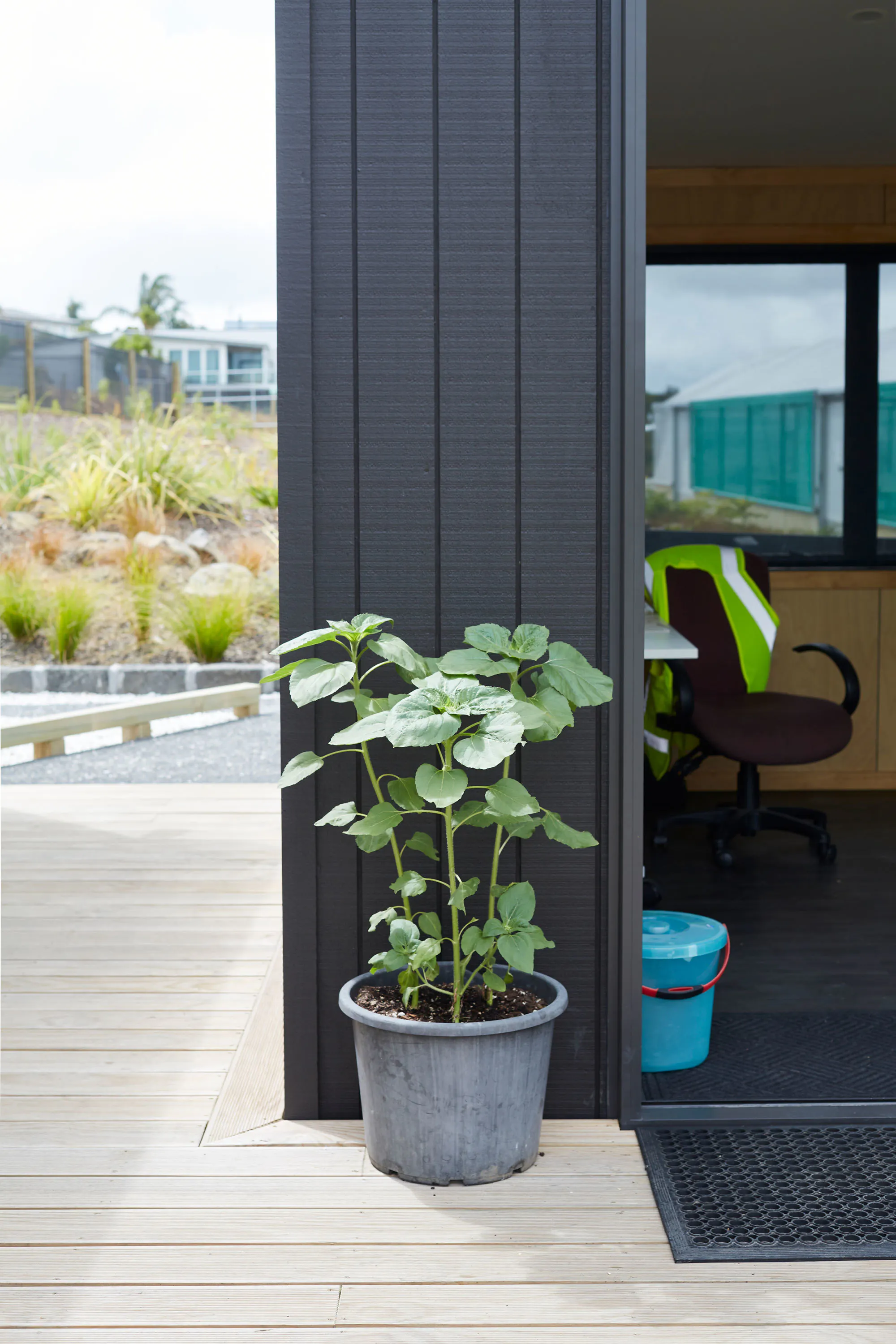 N Woo XWD Nursery Mara Kai Feb20210471 web