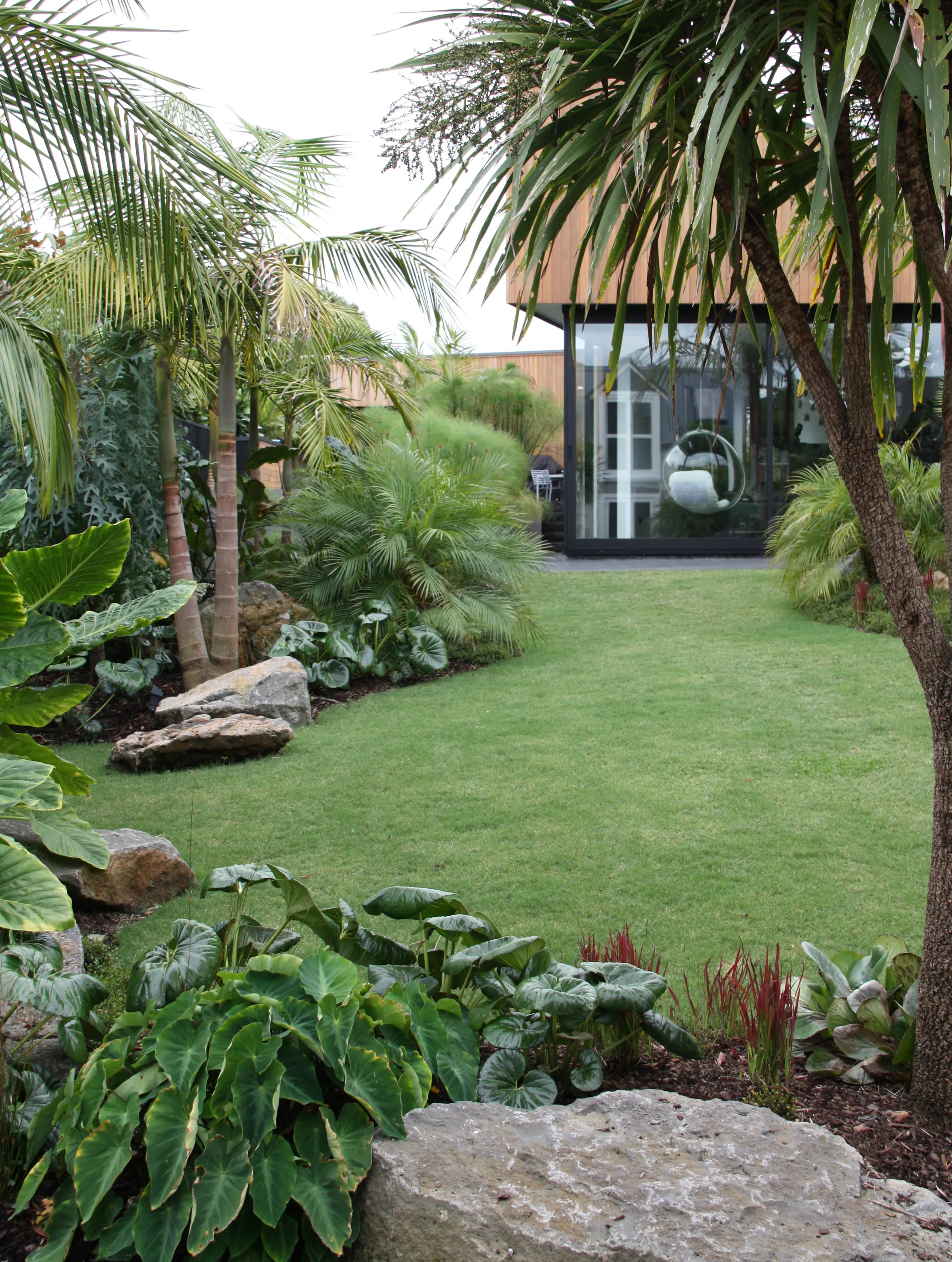 ZC 9620 crop