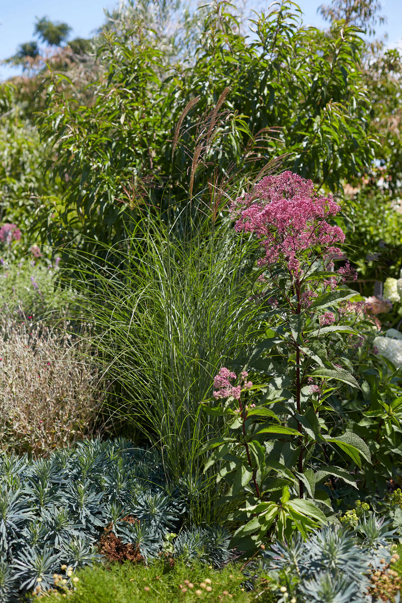 N Woo XWD Gardens Summer2021 0494 web